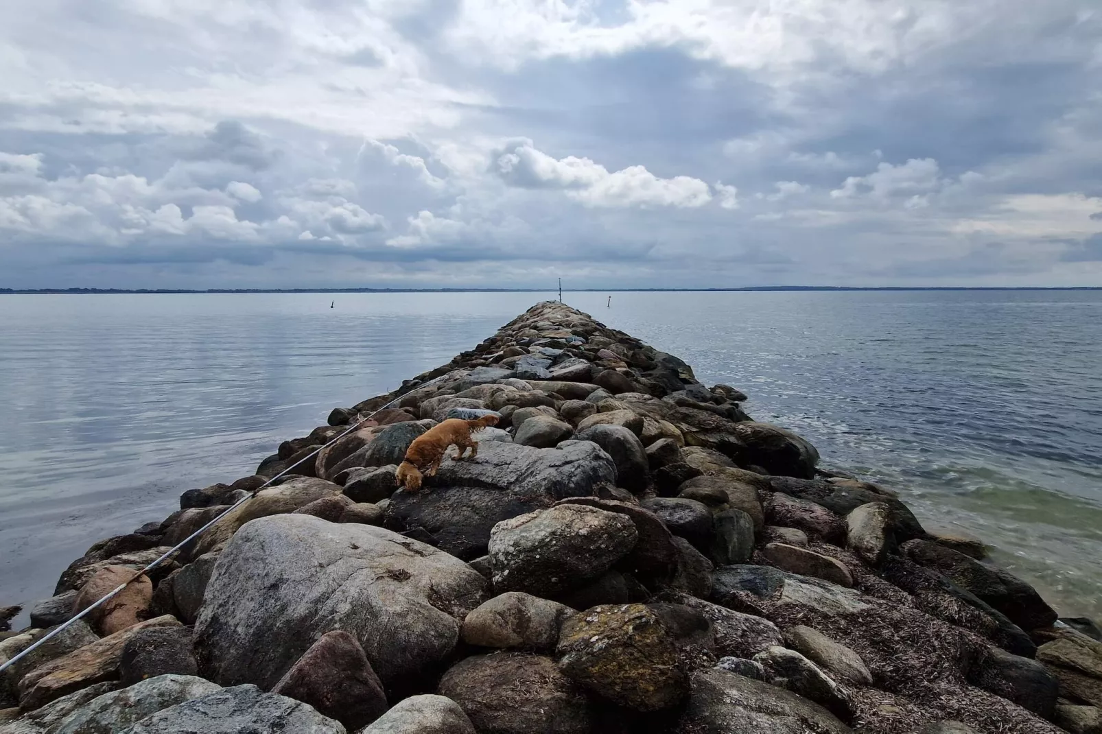 4 star holiday home in Øster Assels-By Traum-Water view