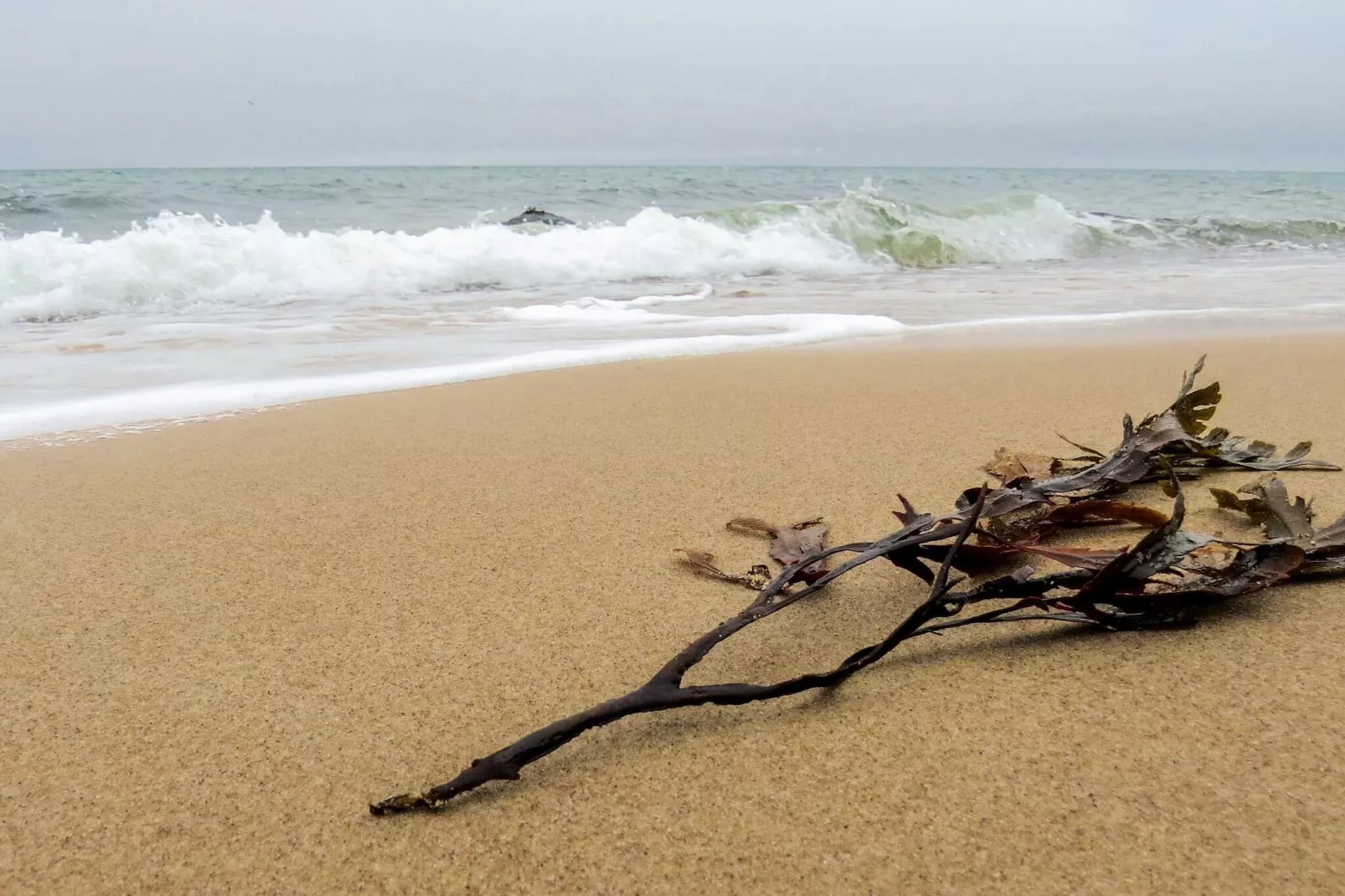 4 Personen Ferienhaus in Gilleleje-By Traum-Wasserblick