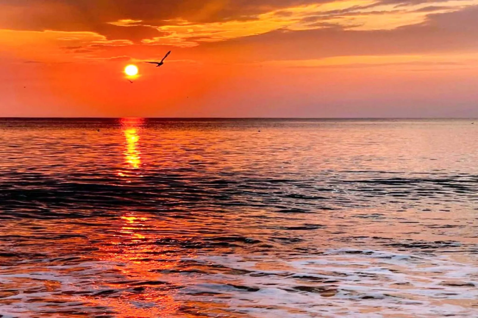 Luxury Pool House Retreat - By Traum Ferienwohnungen-Water view