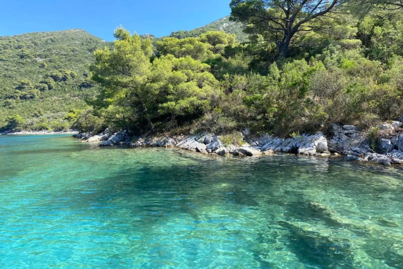 Apartments Franka Saplunara-Double Room with Terrace and Sea View-Ambiance