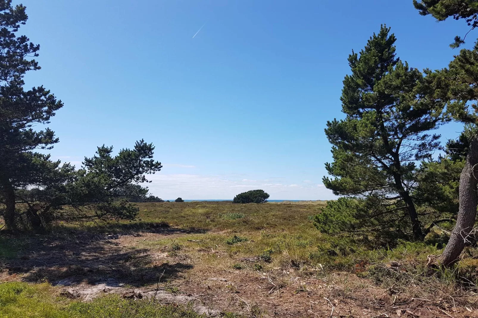 Maison de vacances pour 4 a Læsø-Non tagué