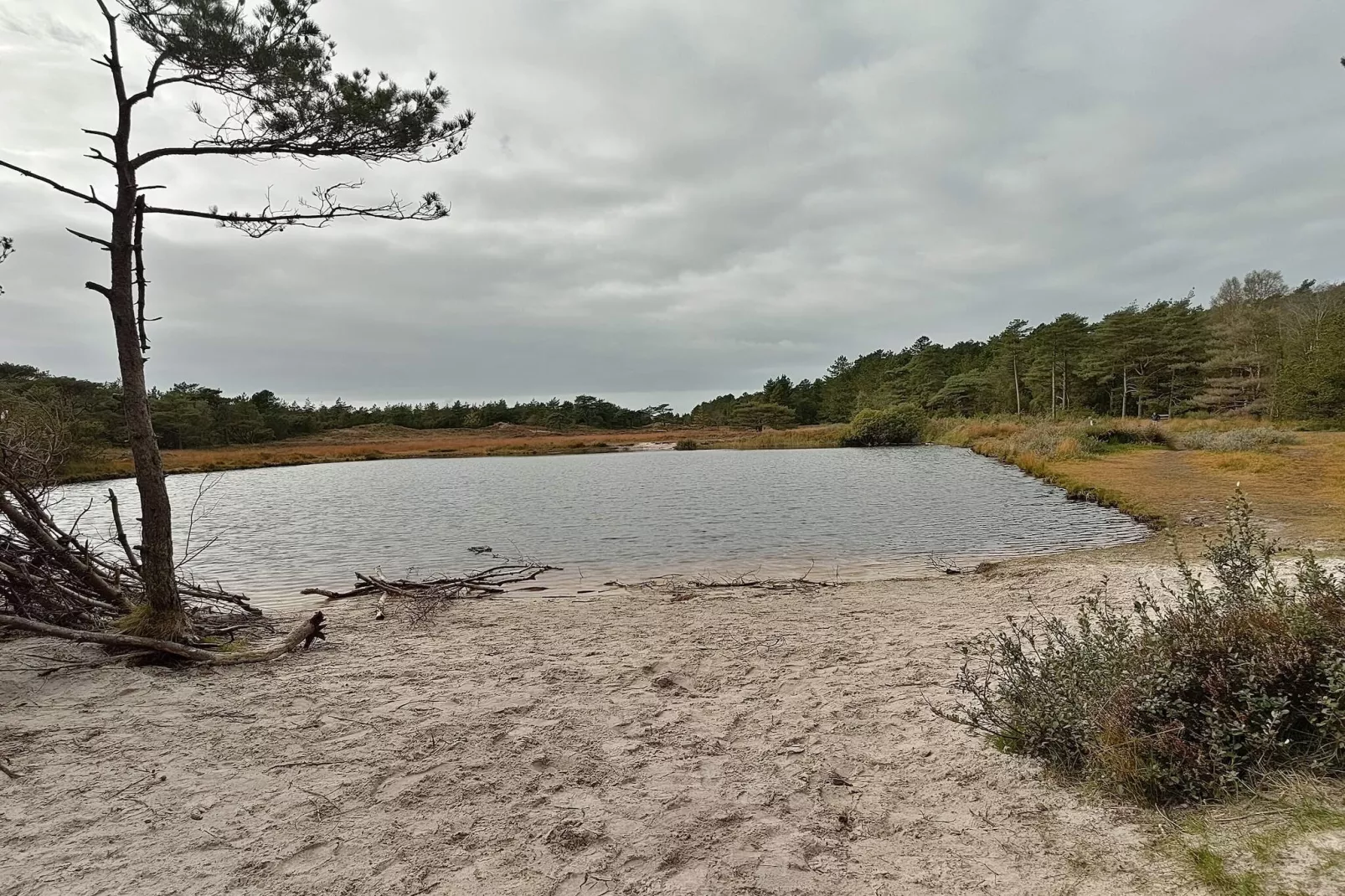 5 Sterne Ferienhaus in Rømø-Wasserblick