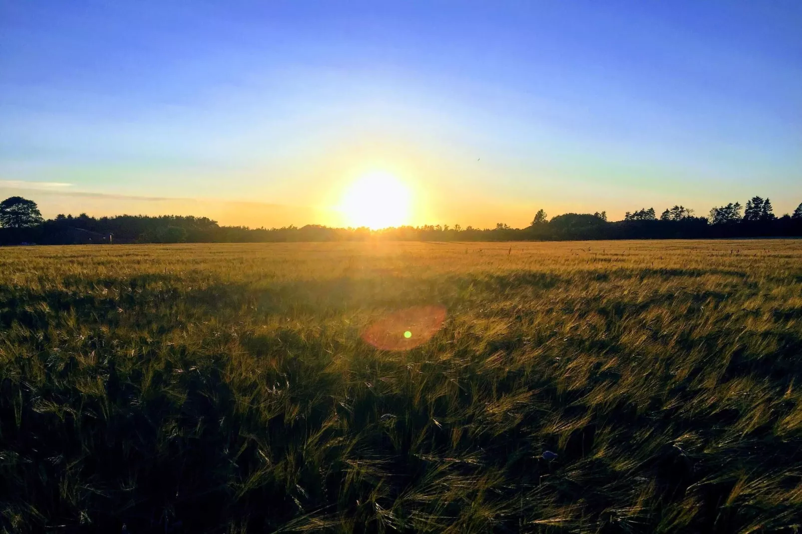 6 person holiday home in Give-By Traum-Untagged