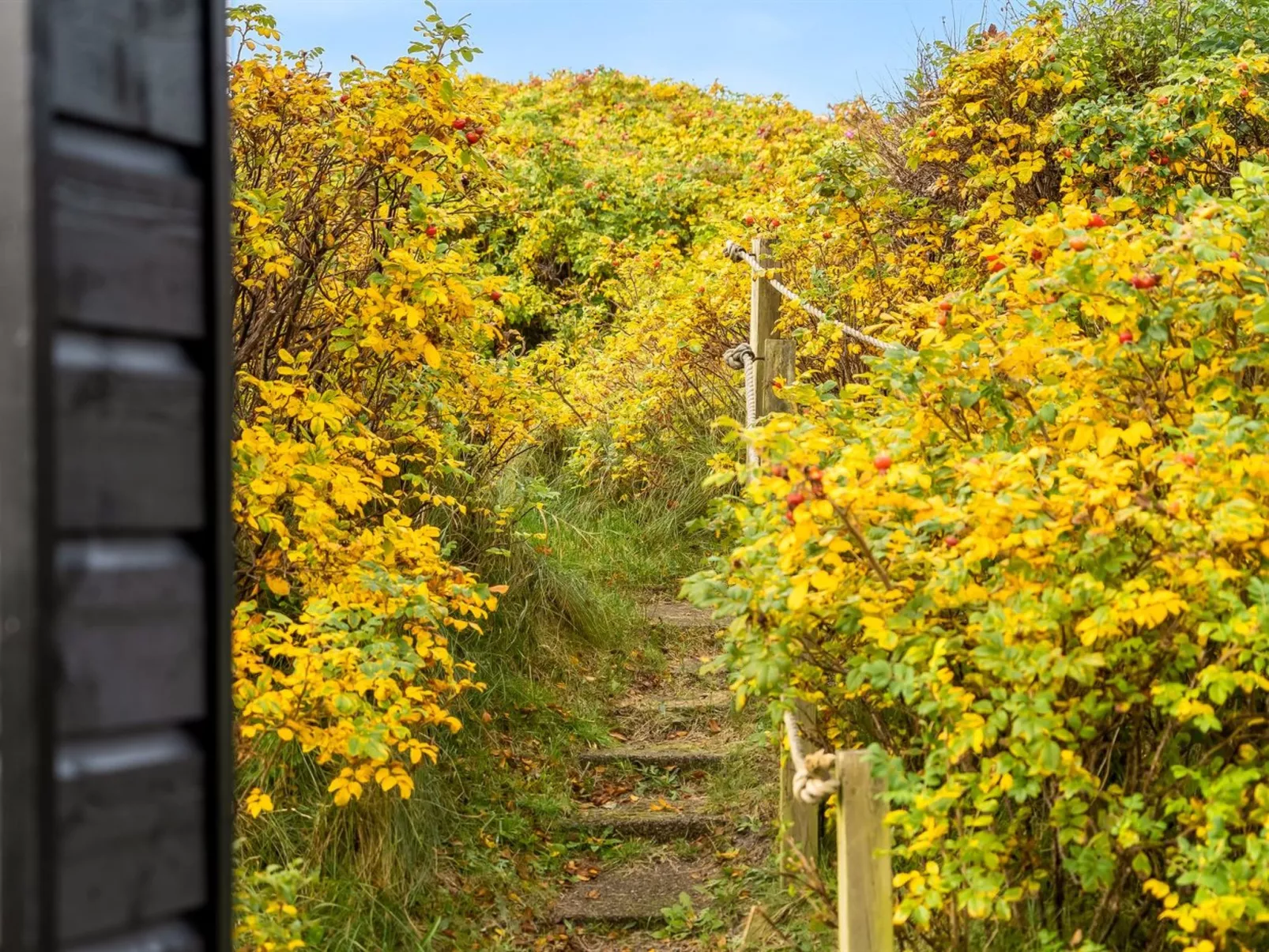 "Thorfin" - 300m from the sea-Outside