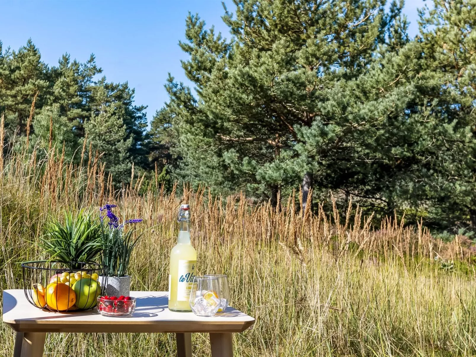 "Dagny" - 520m from the sea-Outside