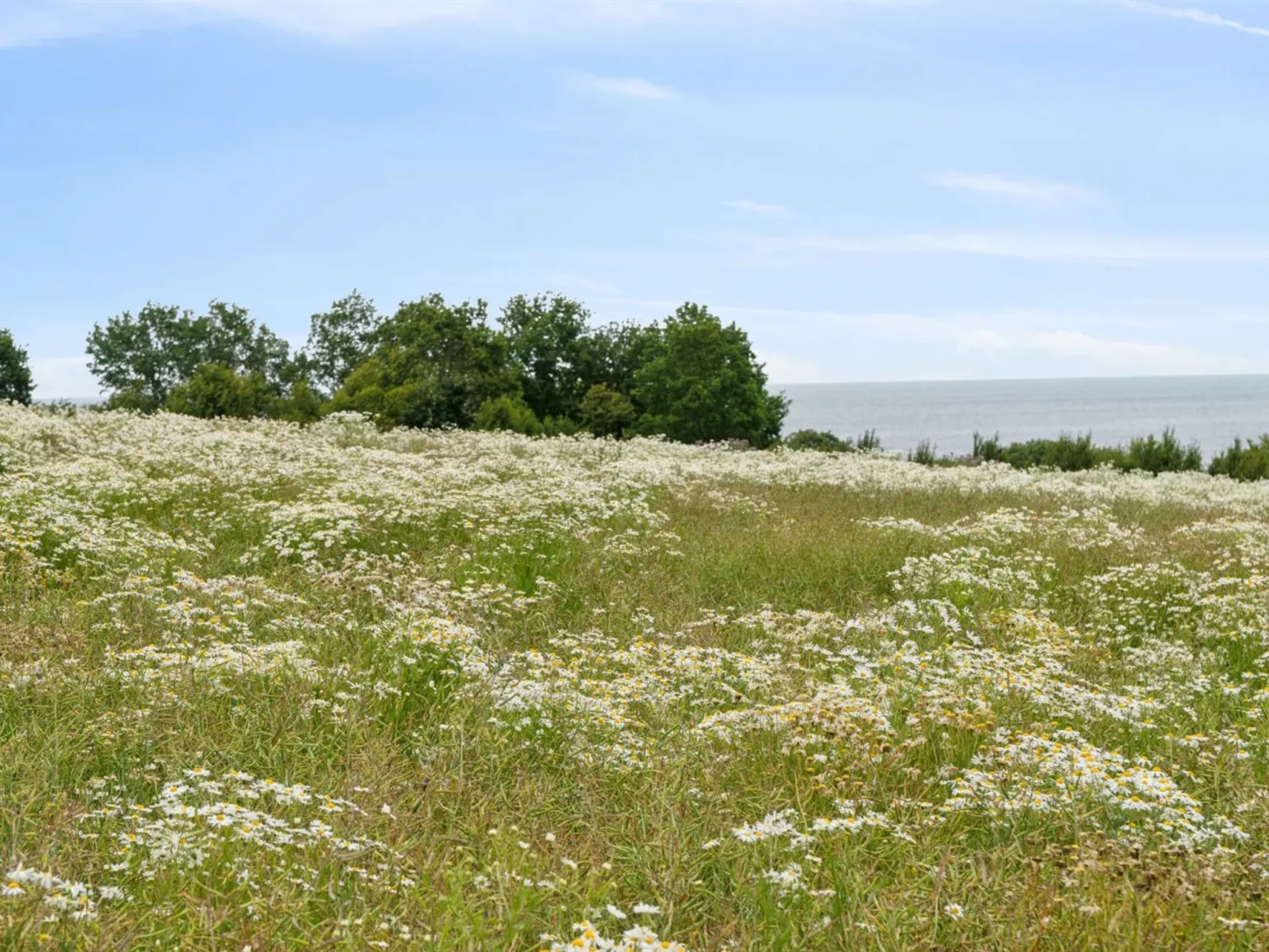 "Ejna" - 400m from the sea-Outside