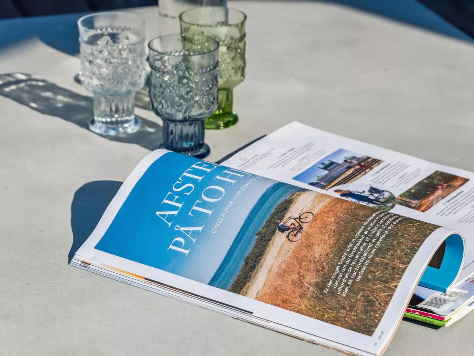 "Frede" - 1km from the sea-Dedans