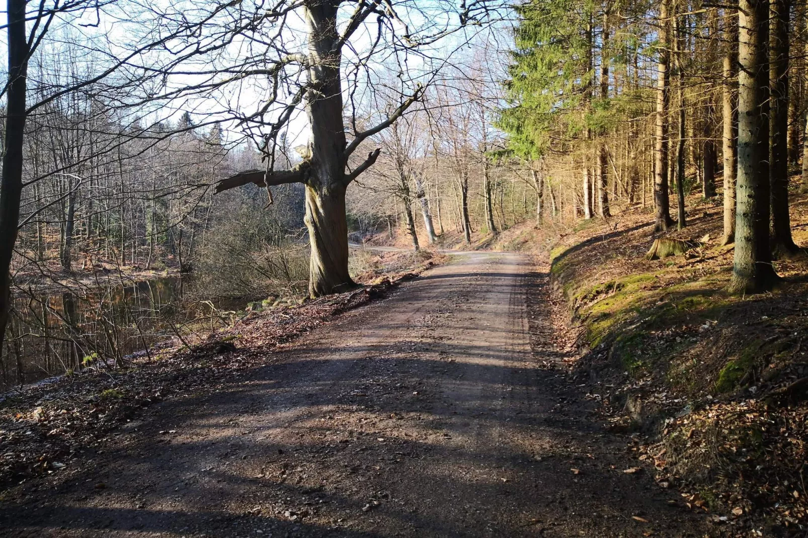 Well-maintained holiday home in Faborg-Untagged