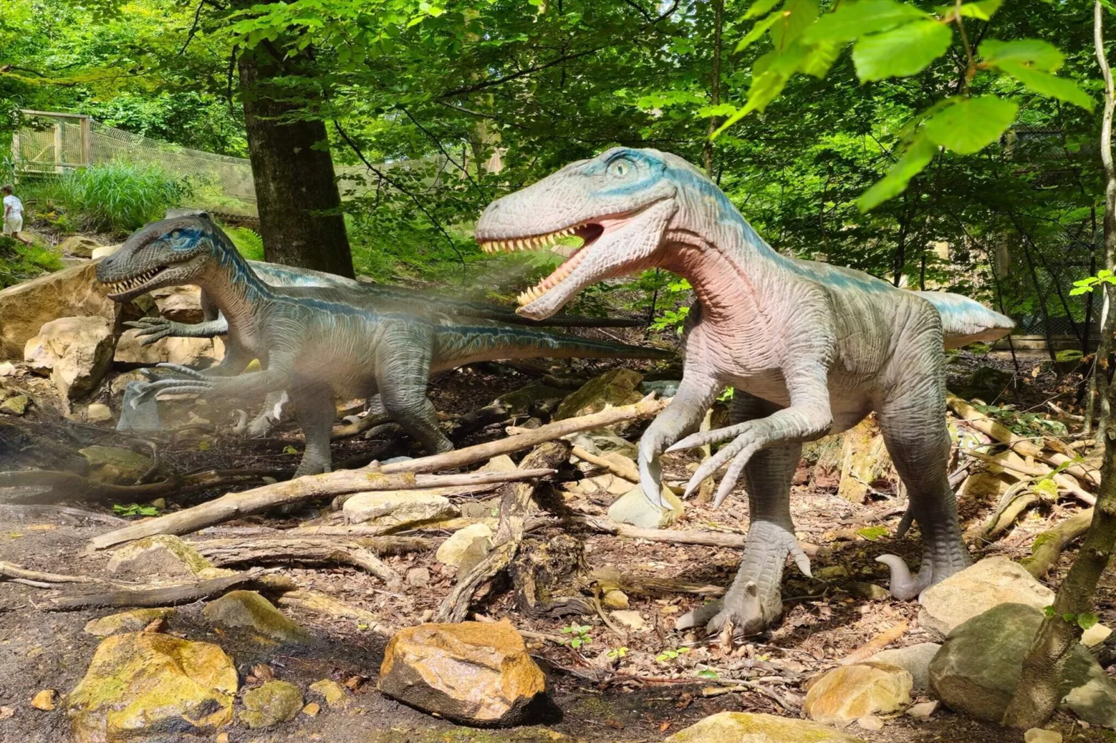 4 person holiday home in Hoor-Untagged