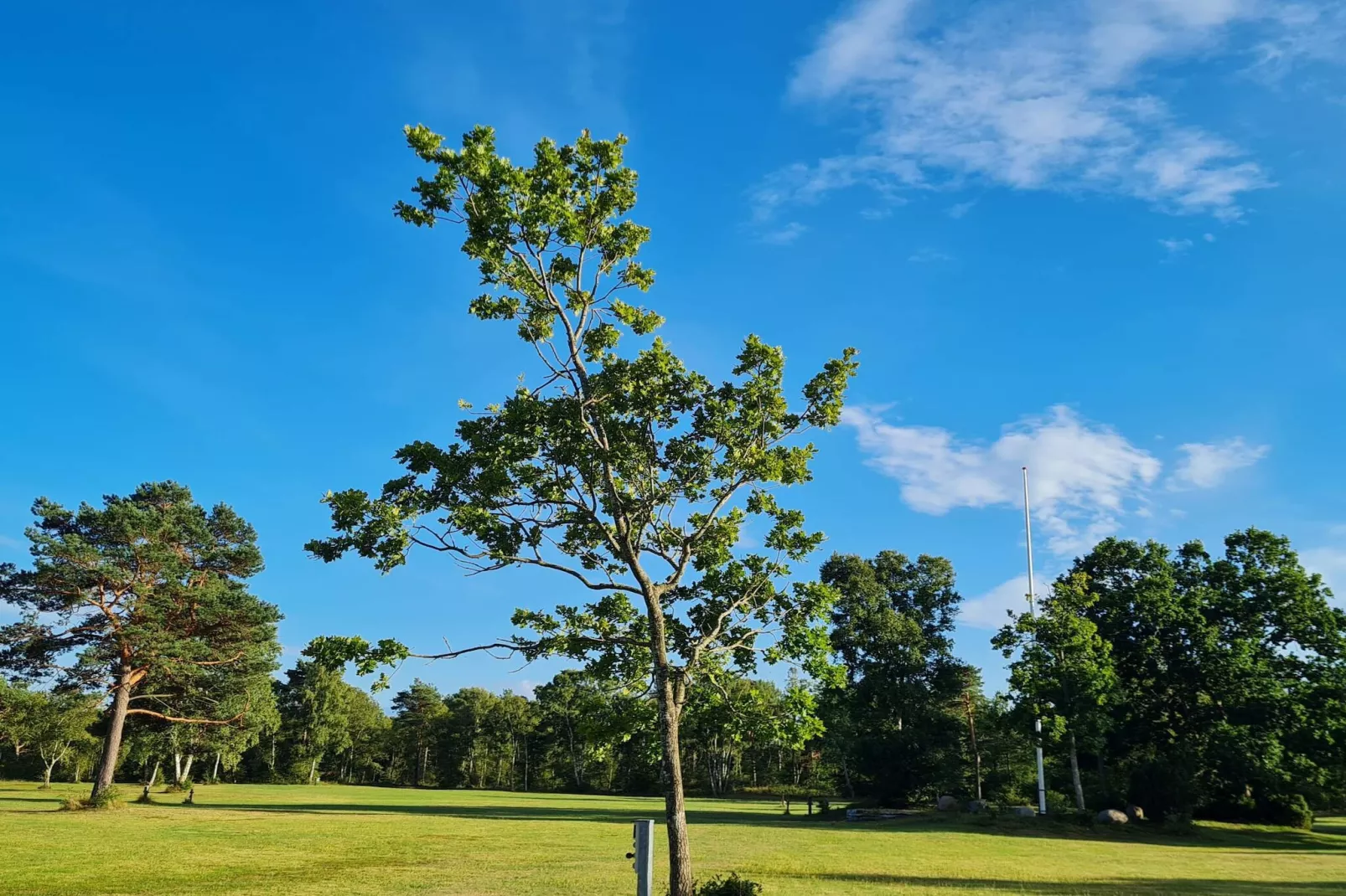 6 Personen Ferienhaus in Hadsund-By Traum-Nicht zugeordnet