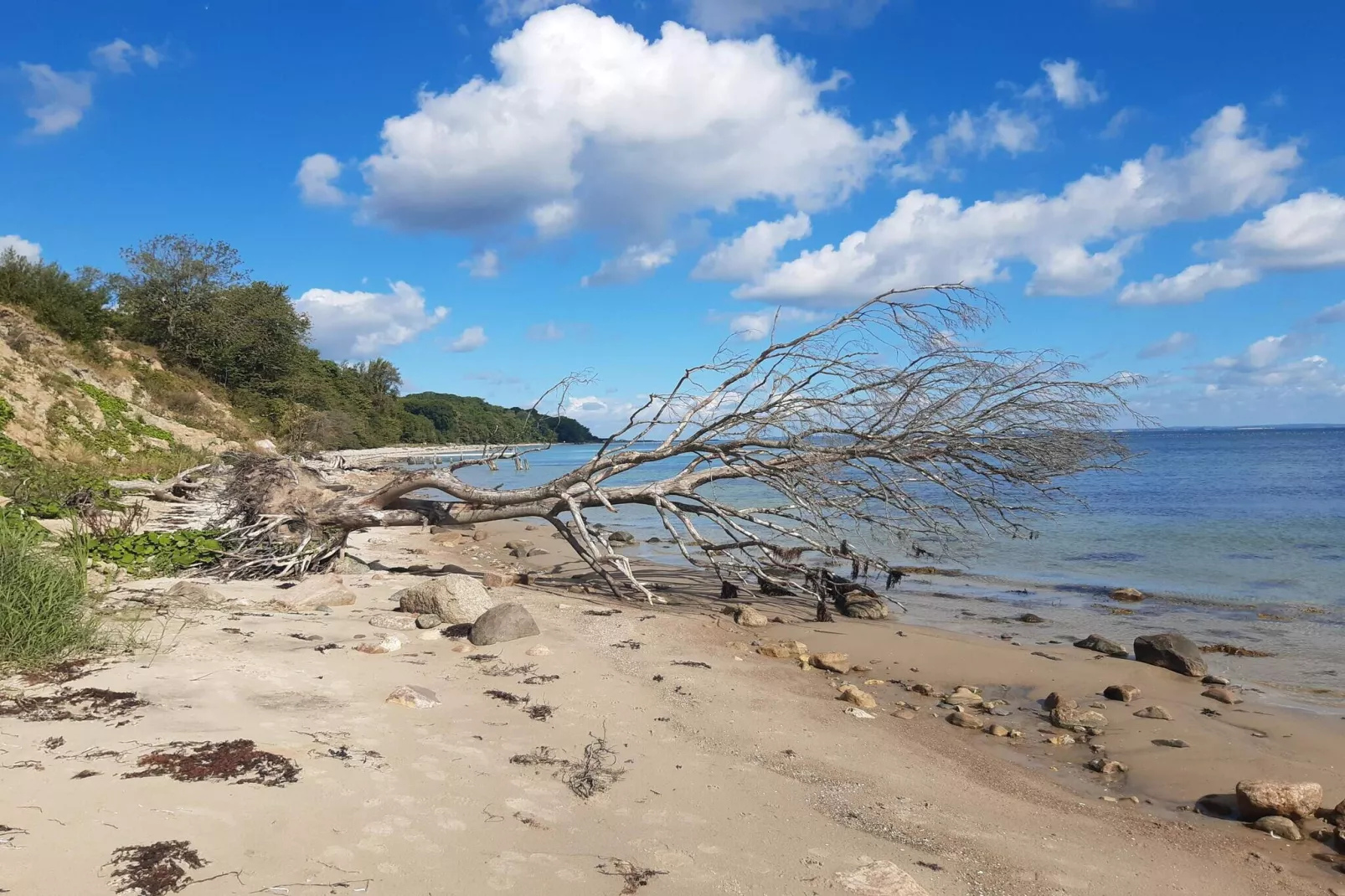 5 star holiday home in Sydals-Water view