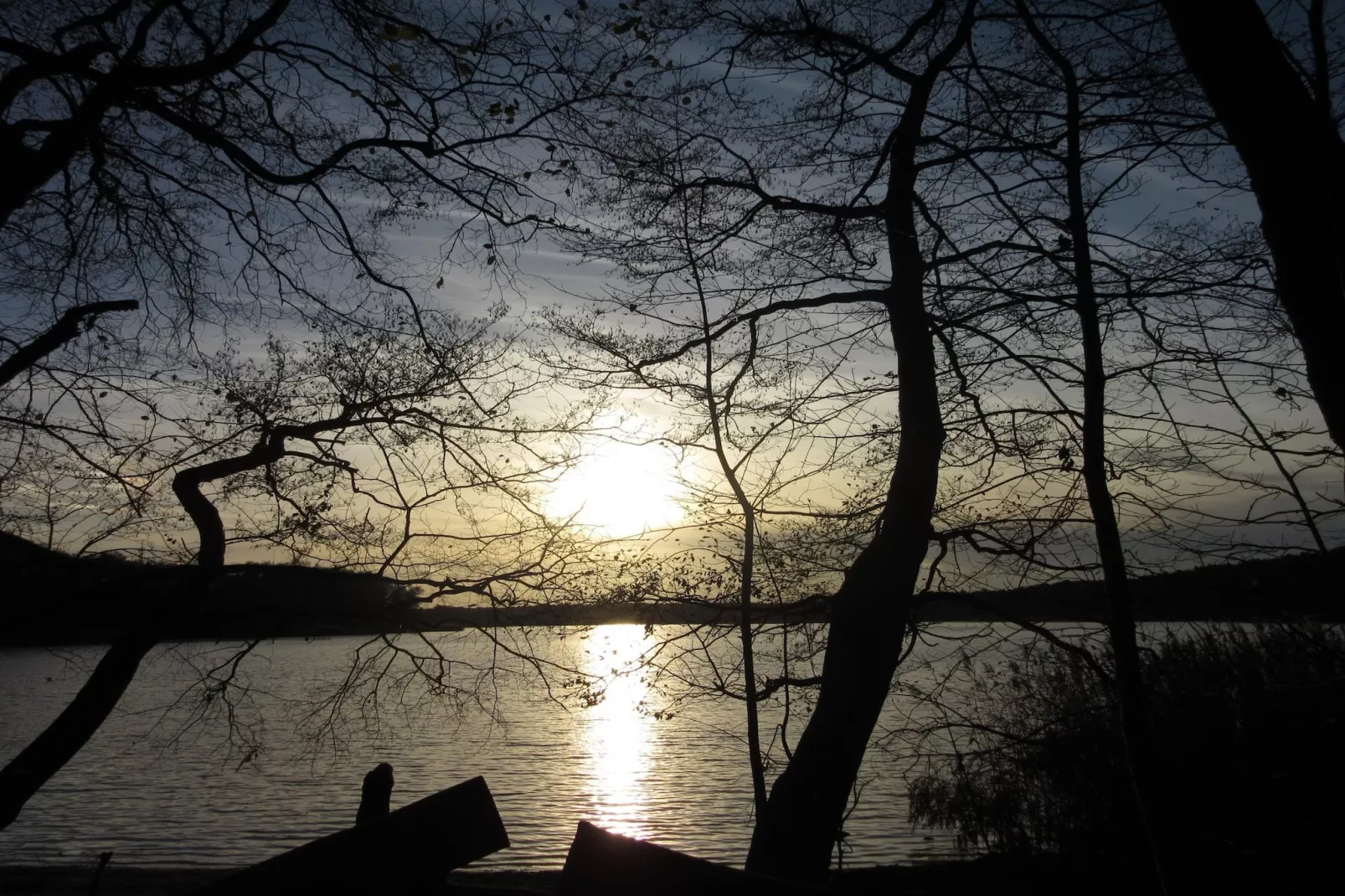 Luxus Appartement / 6 Personen-Areas within 1km in summer