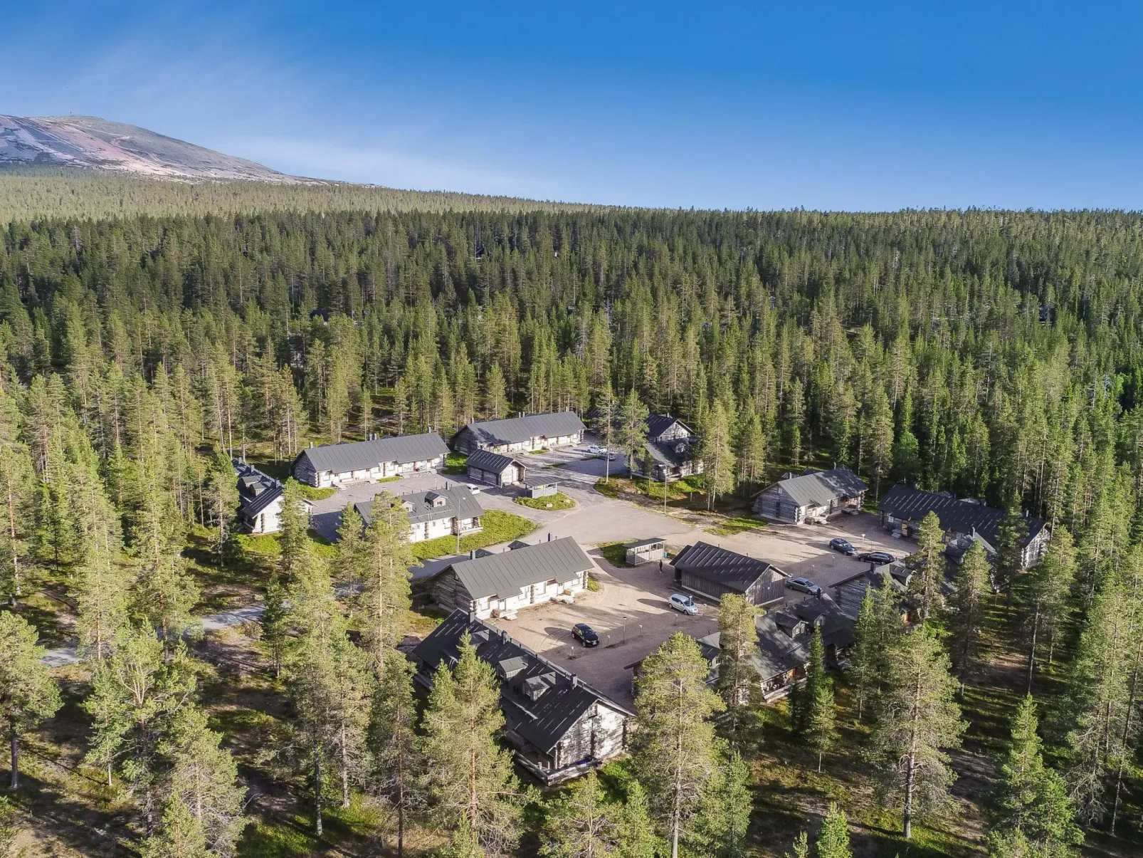 Teerentie / poronpesä (g20)-Inside