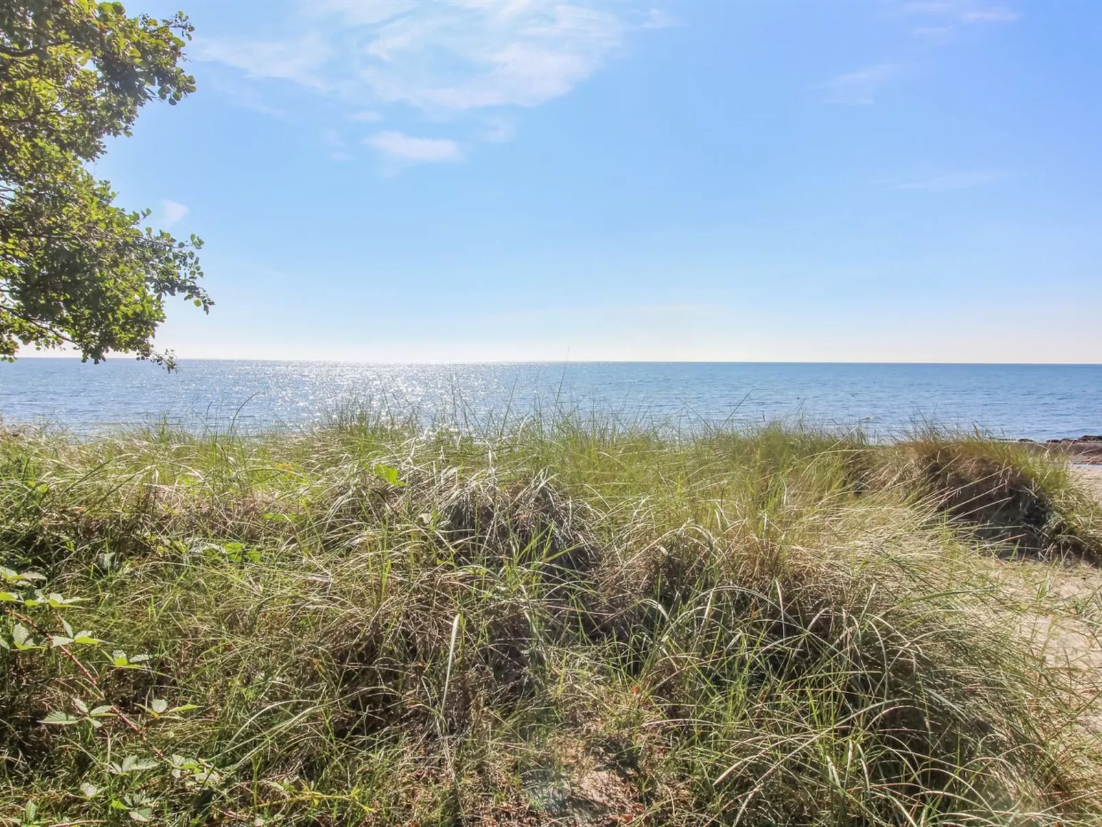 "Pisana" - 300m from the sea-Outside