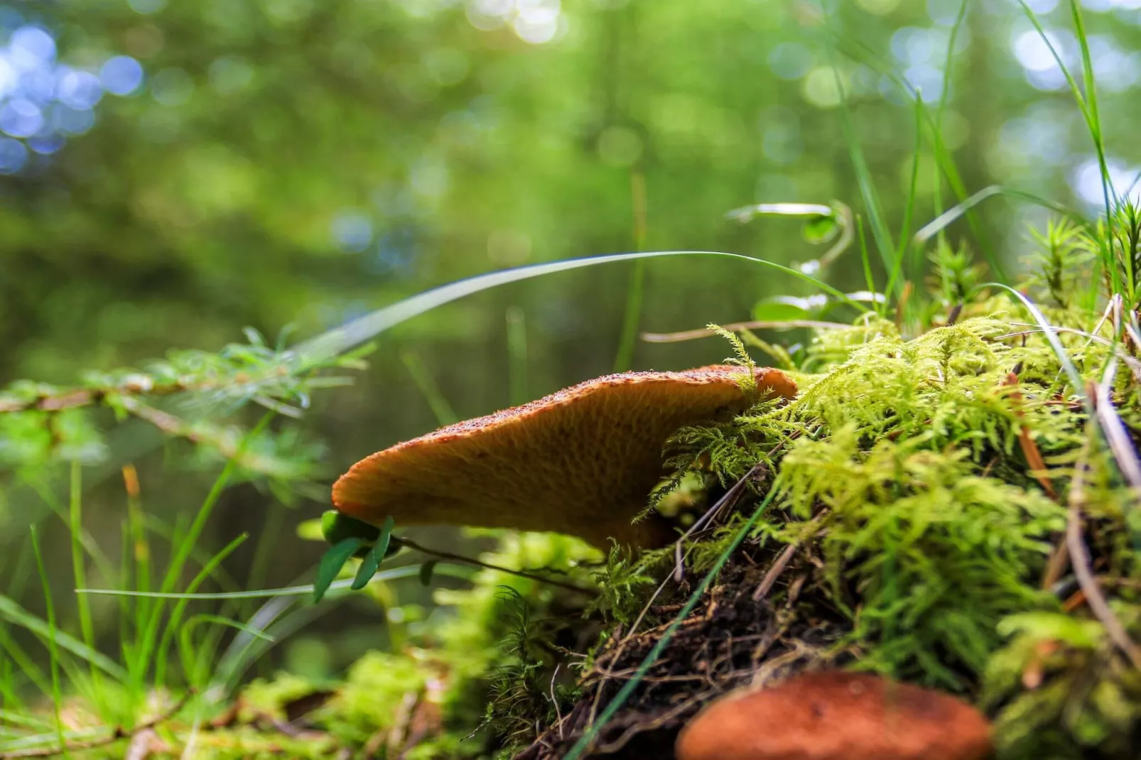 Maison de vacances dans le Jutland central-Non tagué