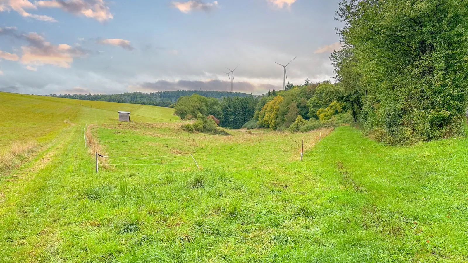 Panoramablick-Zones été à 1 km