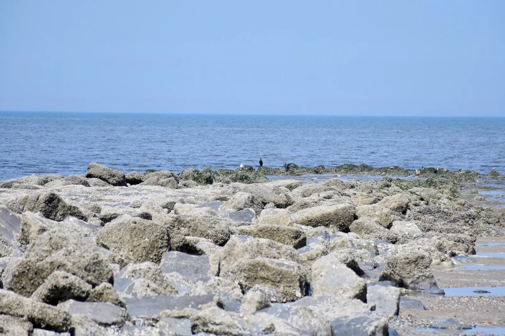 De Rede-Areas within 5km in summer