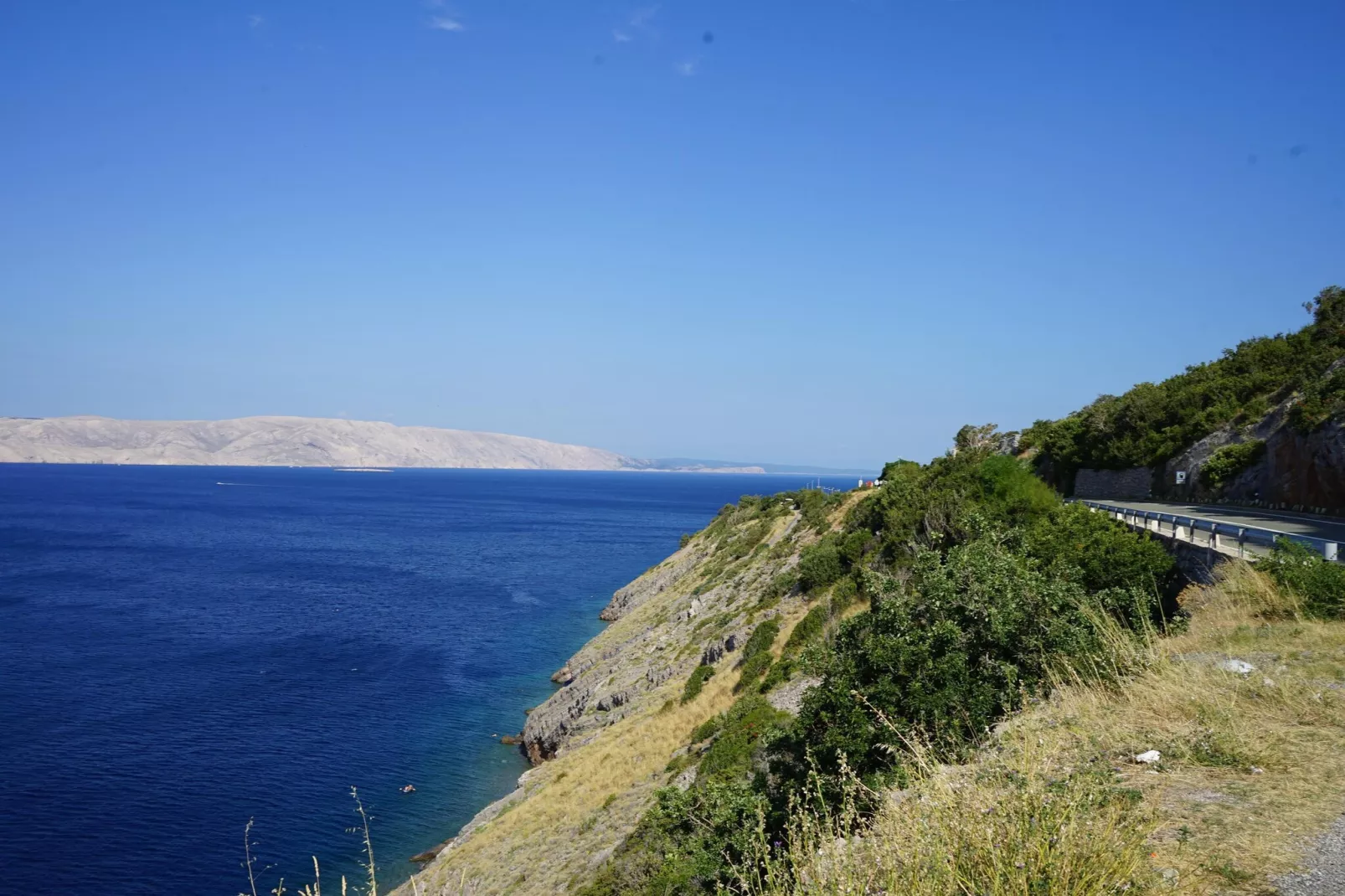 Niko 3-Areas within 1km in summer