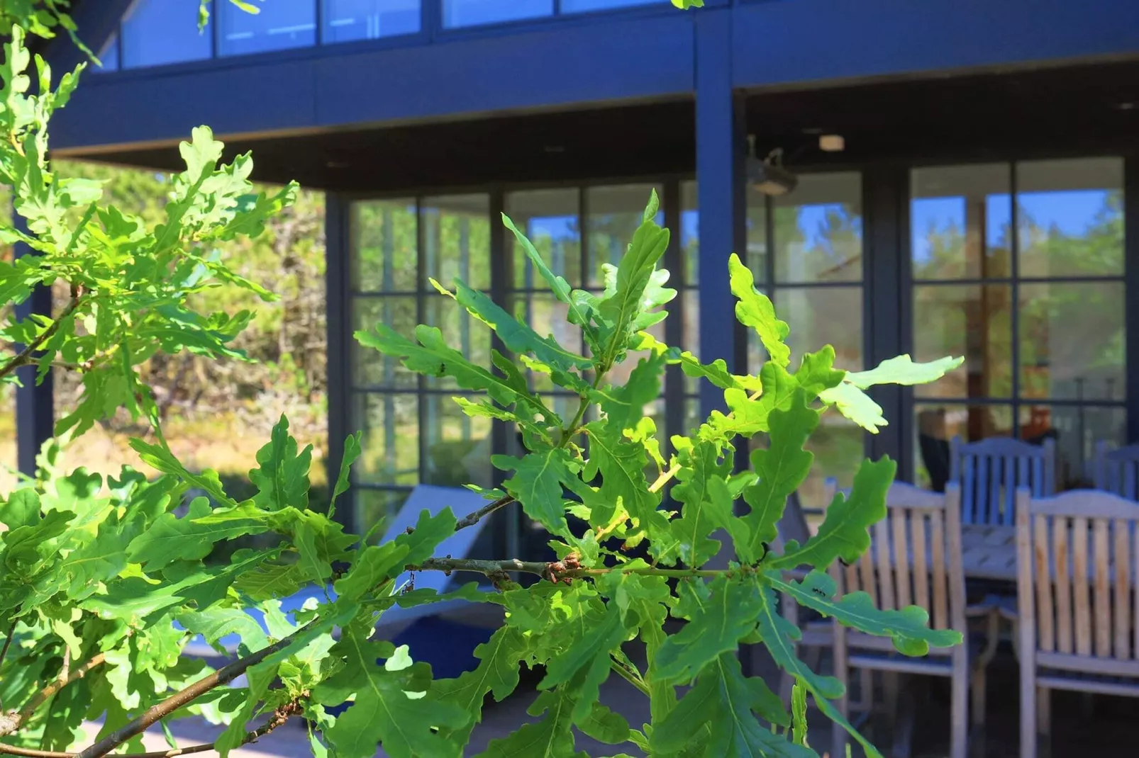 Blåvand Garden Retreat: évasion tranquille-Vue
