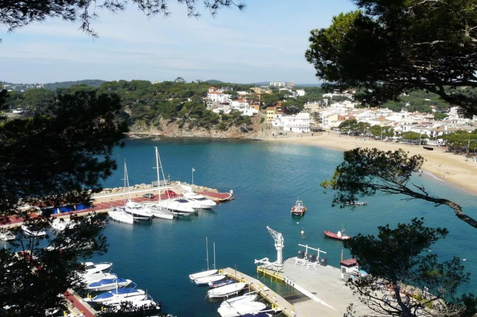 Pastora 2-Areas within 20km in summer