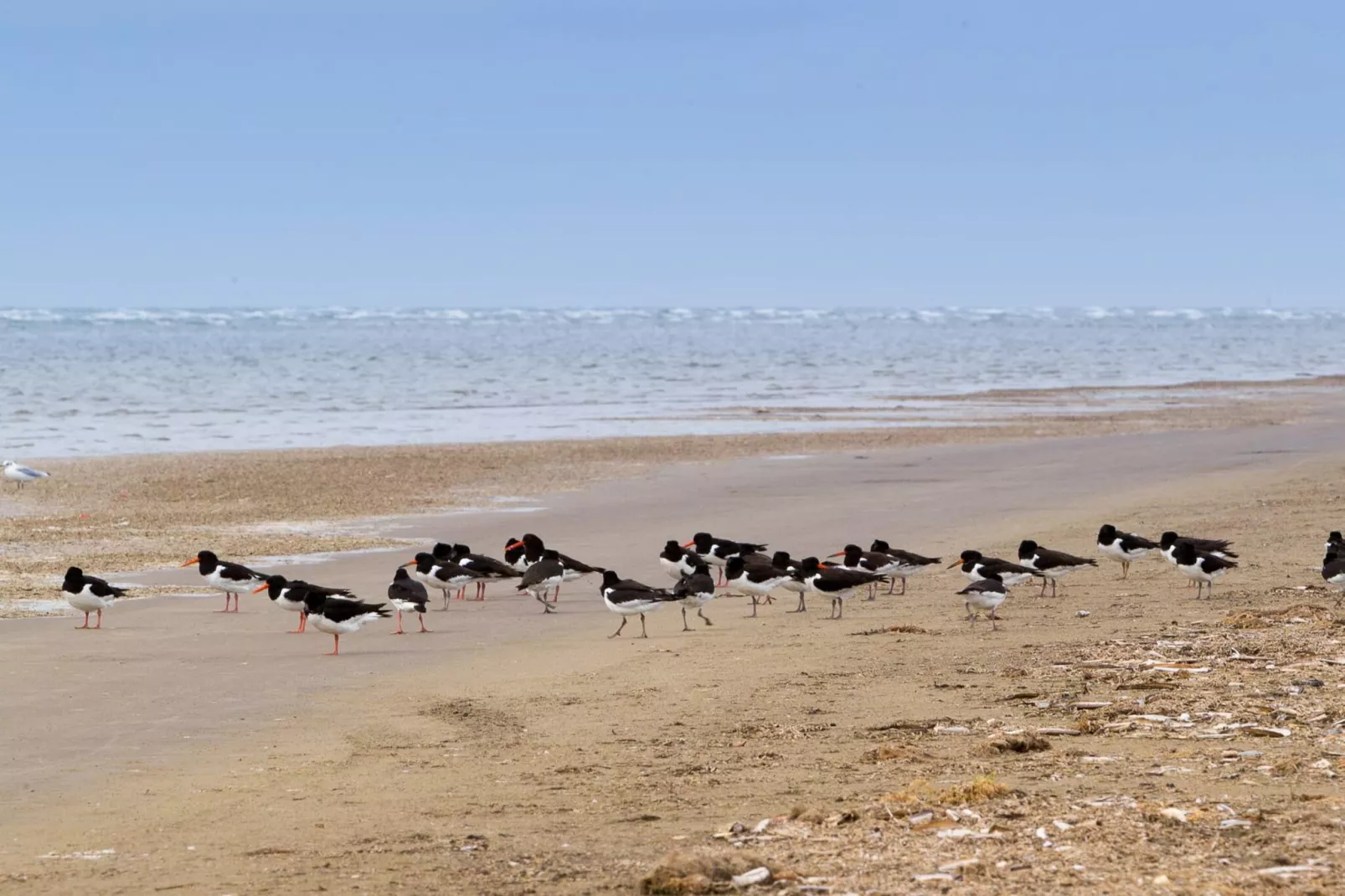 4 star holiday home in Fanø-Water view