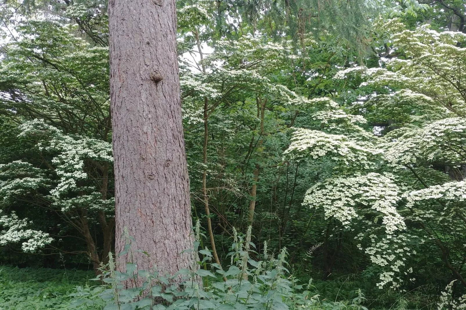 4 etoiles maison de vacances a Vedbæk-Non tagué