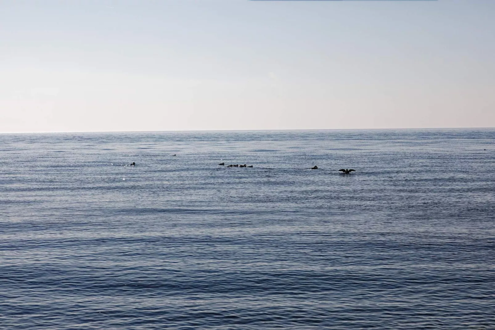 8 person holiday home in Bagenkop-Water view