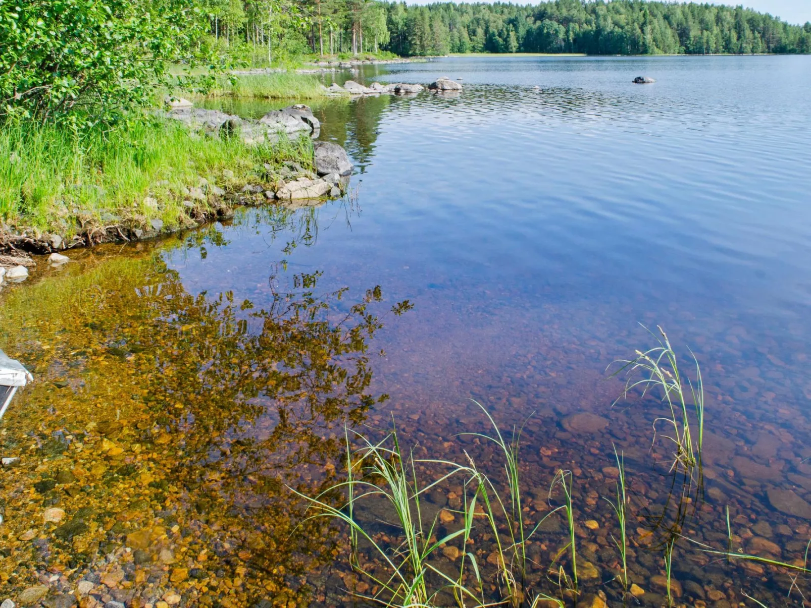 Amero purnu 3-Dedans