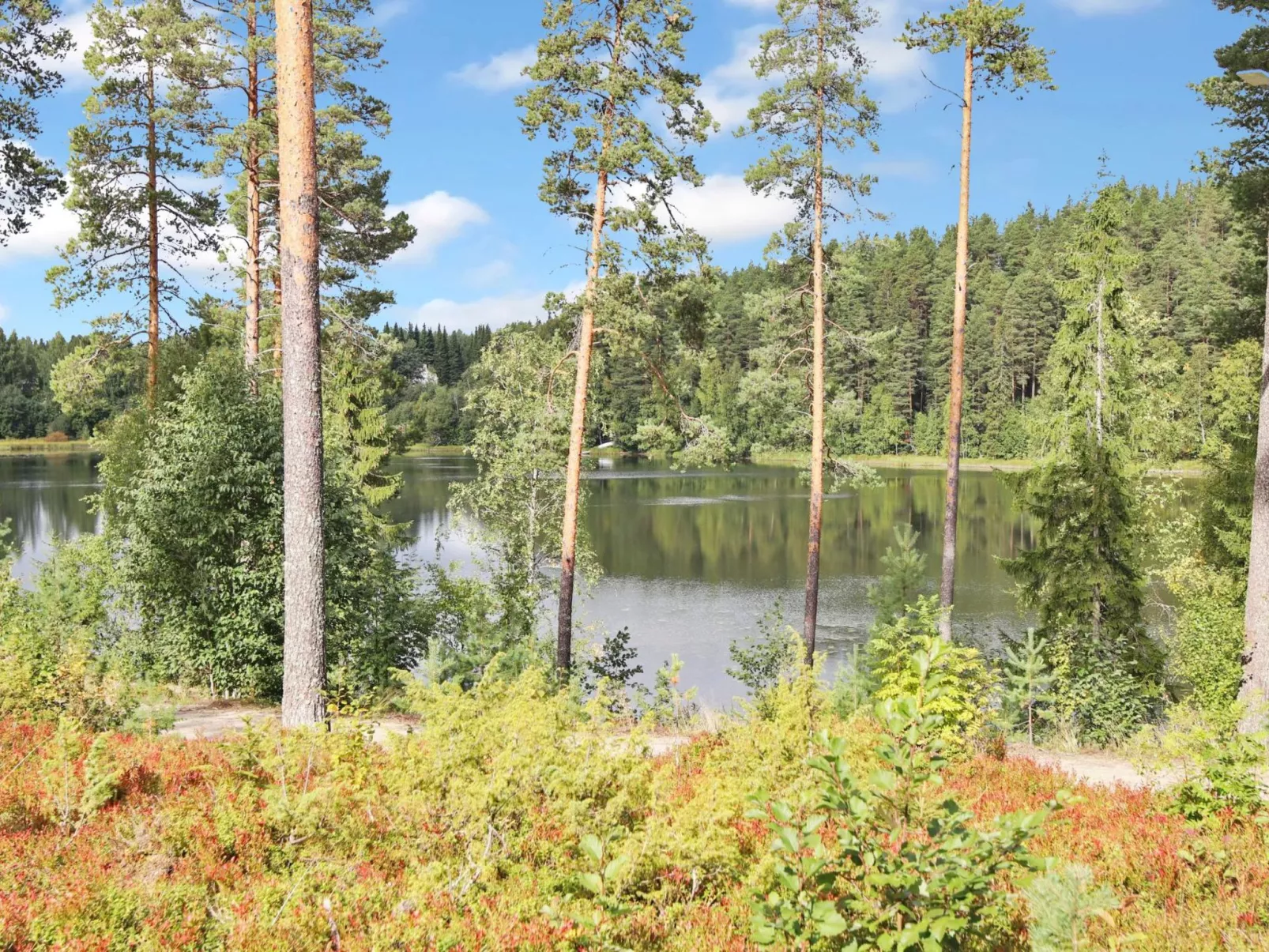 Vuokatin loiste 9 a 3-Drinnen