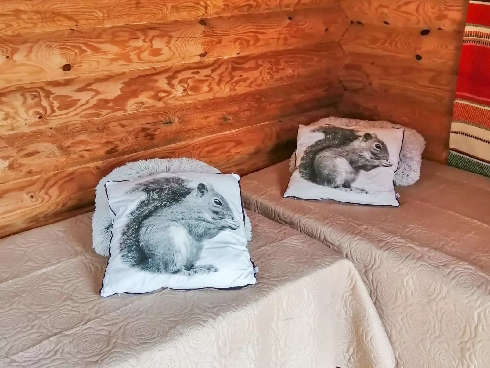 Ruokovirran mökki-Drinnen