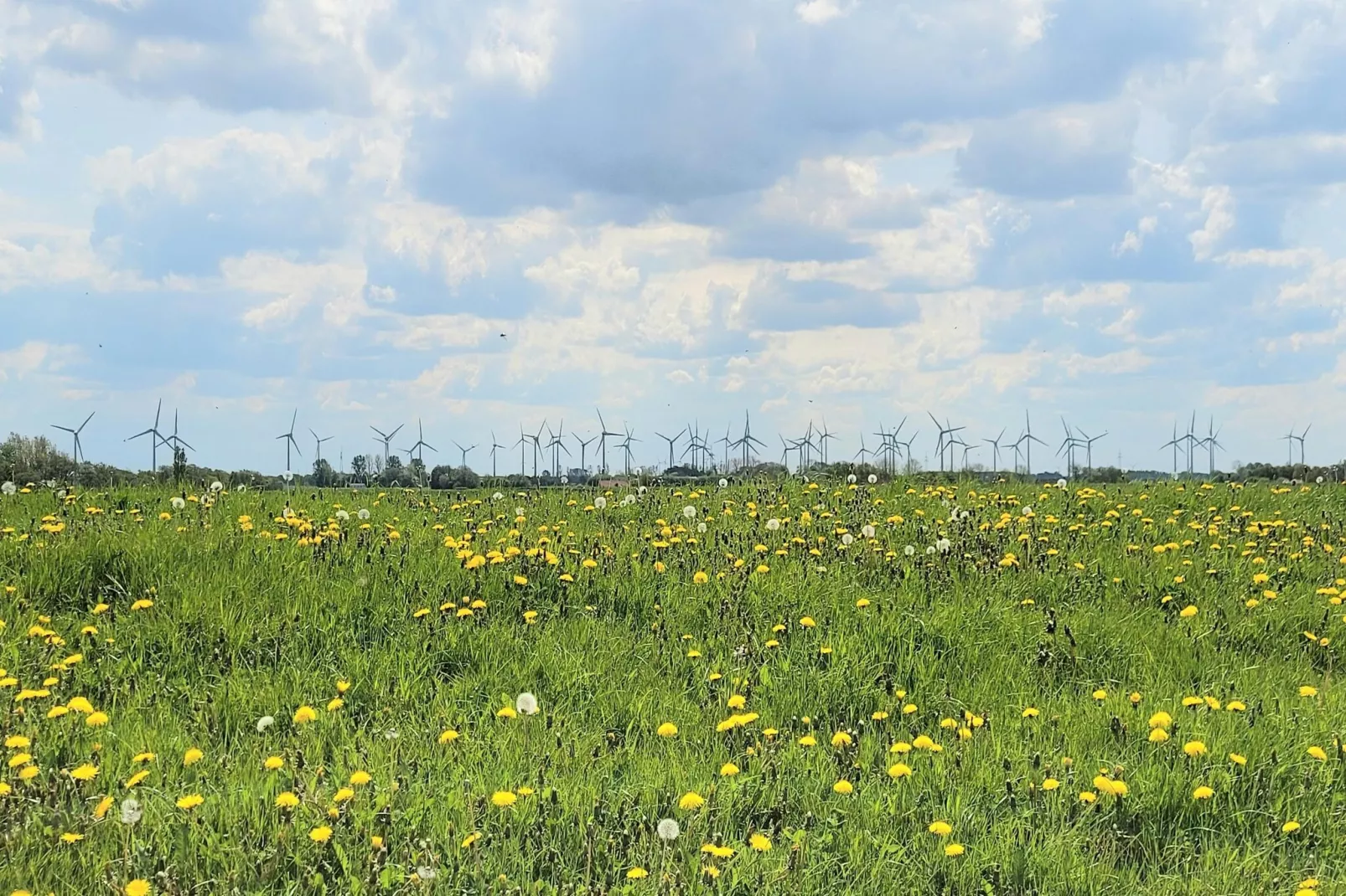 Ferienhaus Mühlenblick 07-Areas within 5km in summer