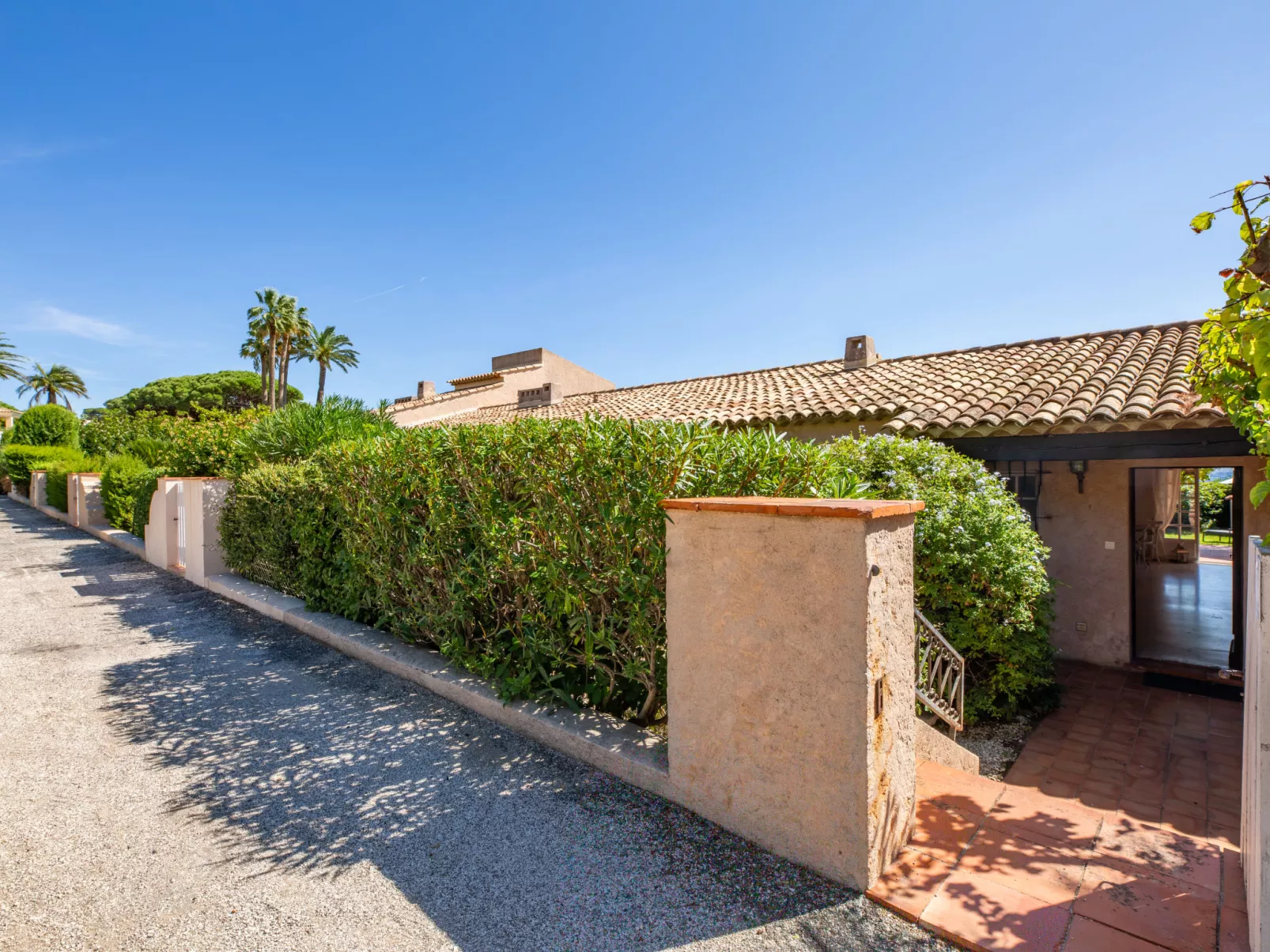 El Cantarello-Dehors