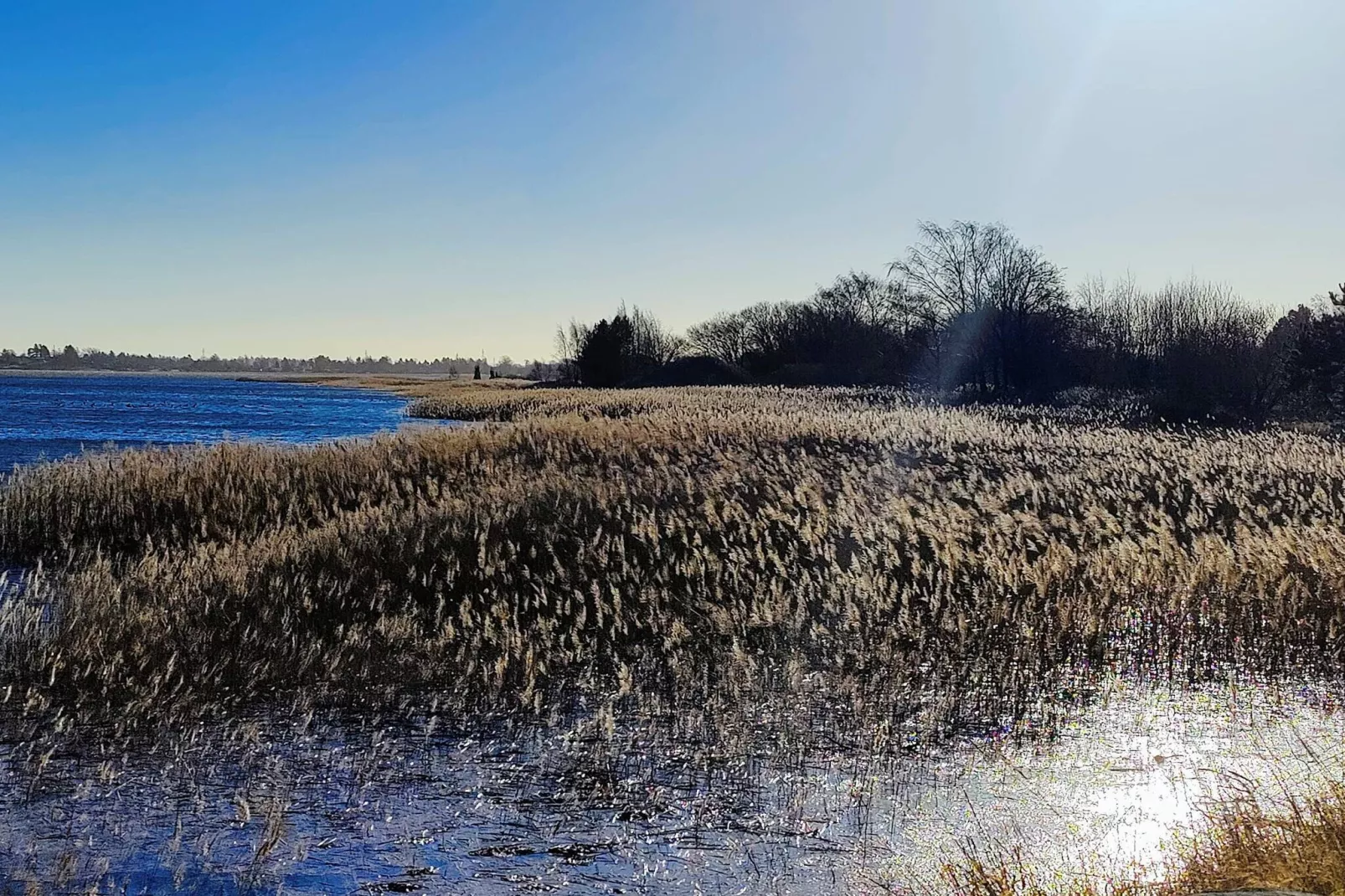 4 etoiles maison de vacances a Jægerspris-Vue sur l'eau