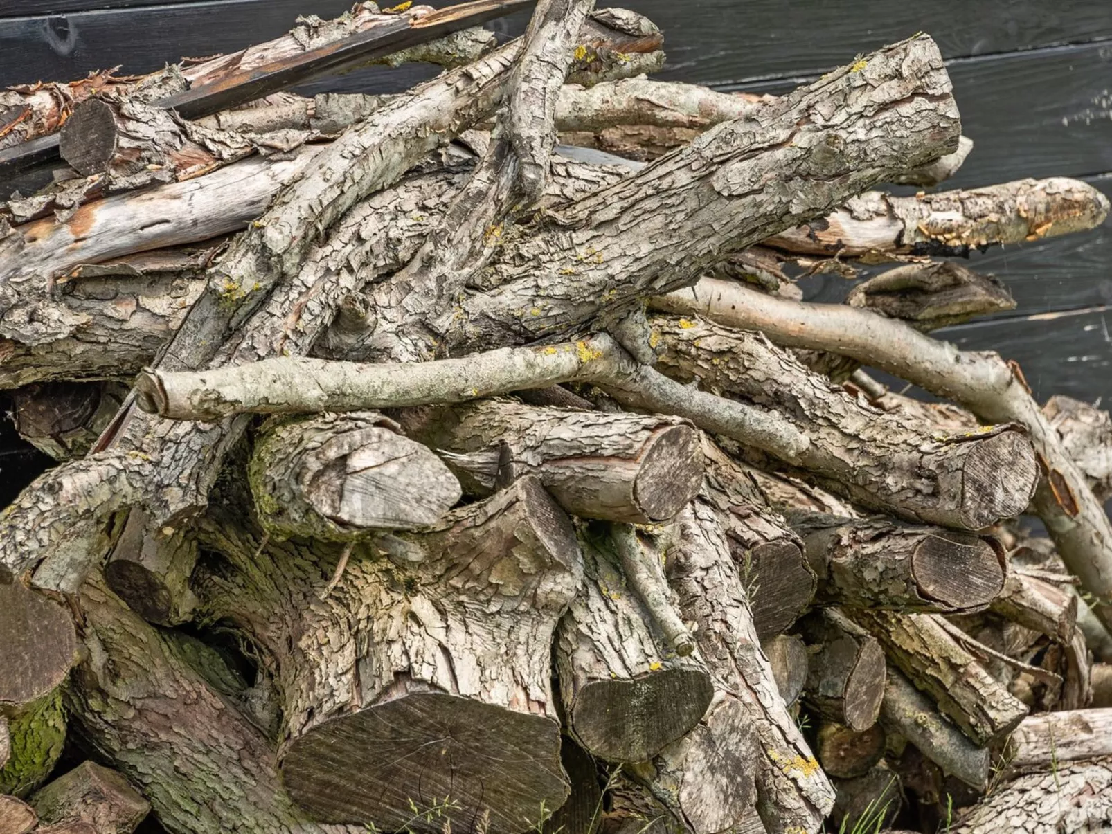 "Rether" - 400m from the sea-Inside