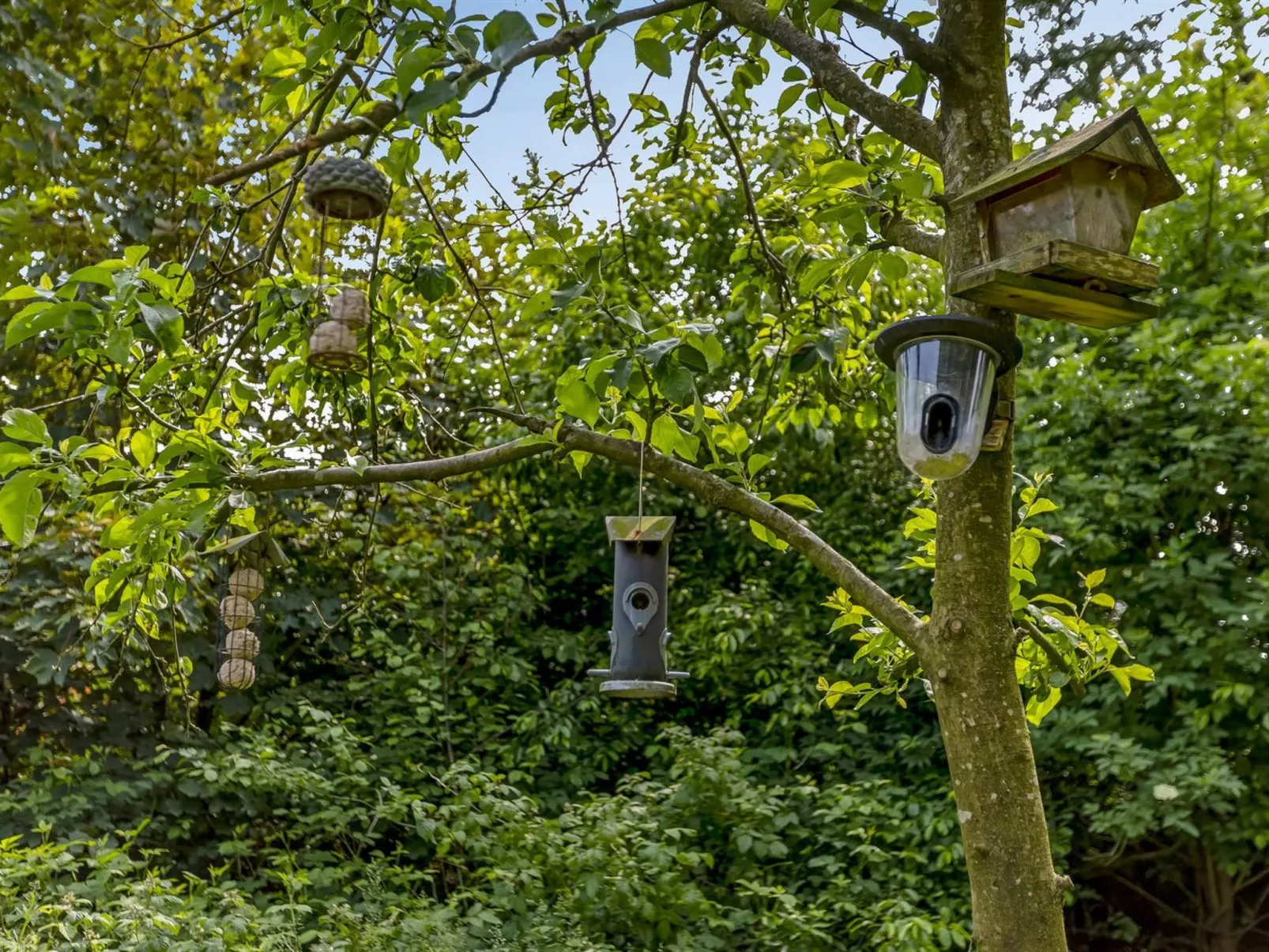 "Ejvind" - 30km from the sea-Outside