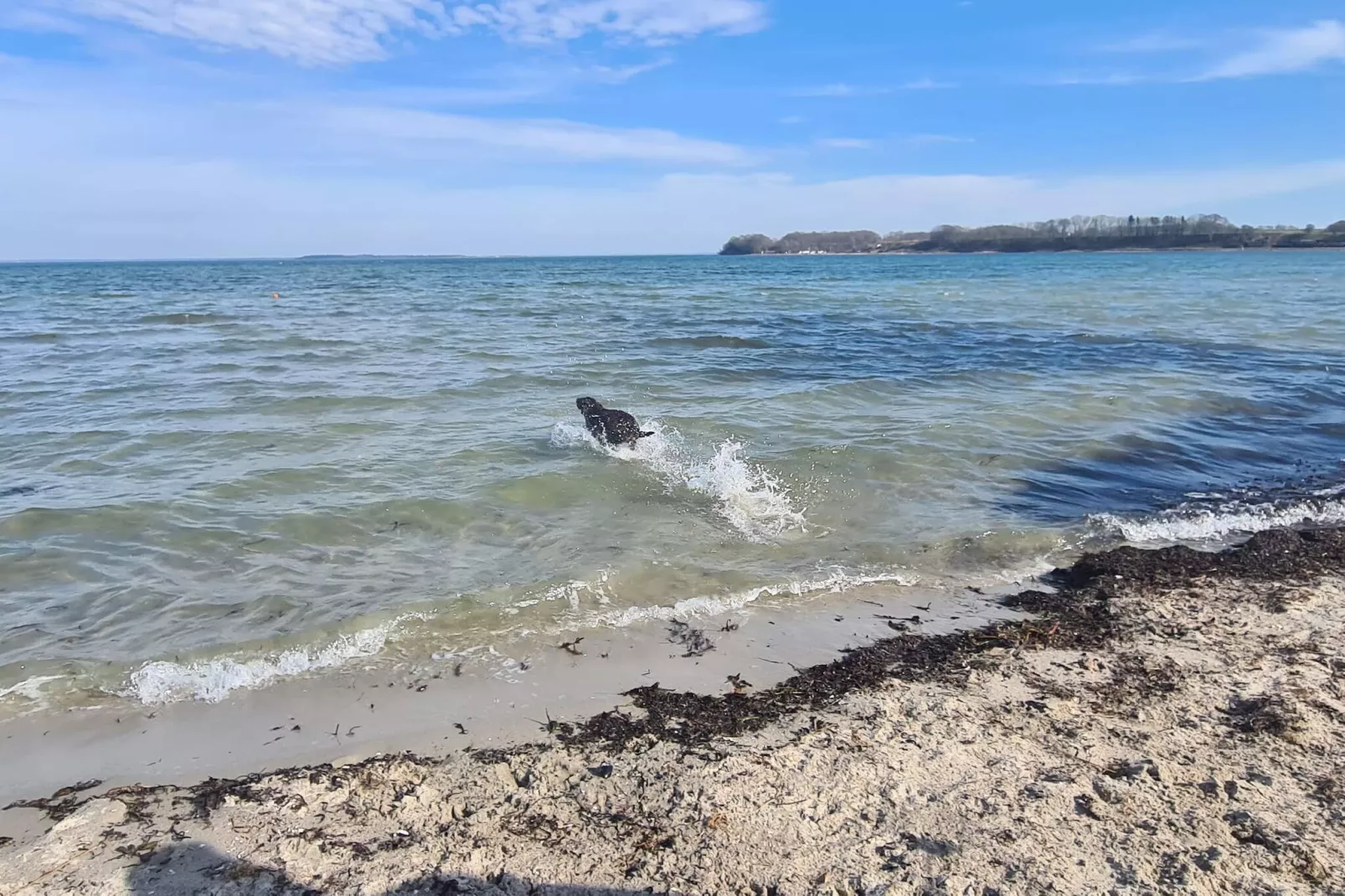 5 star holiday home in Hejls-Water view