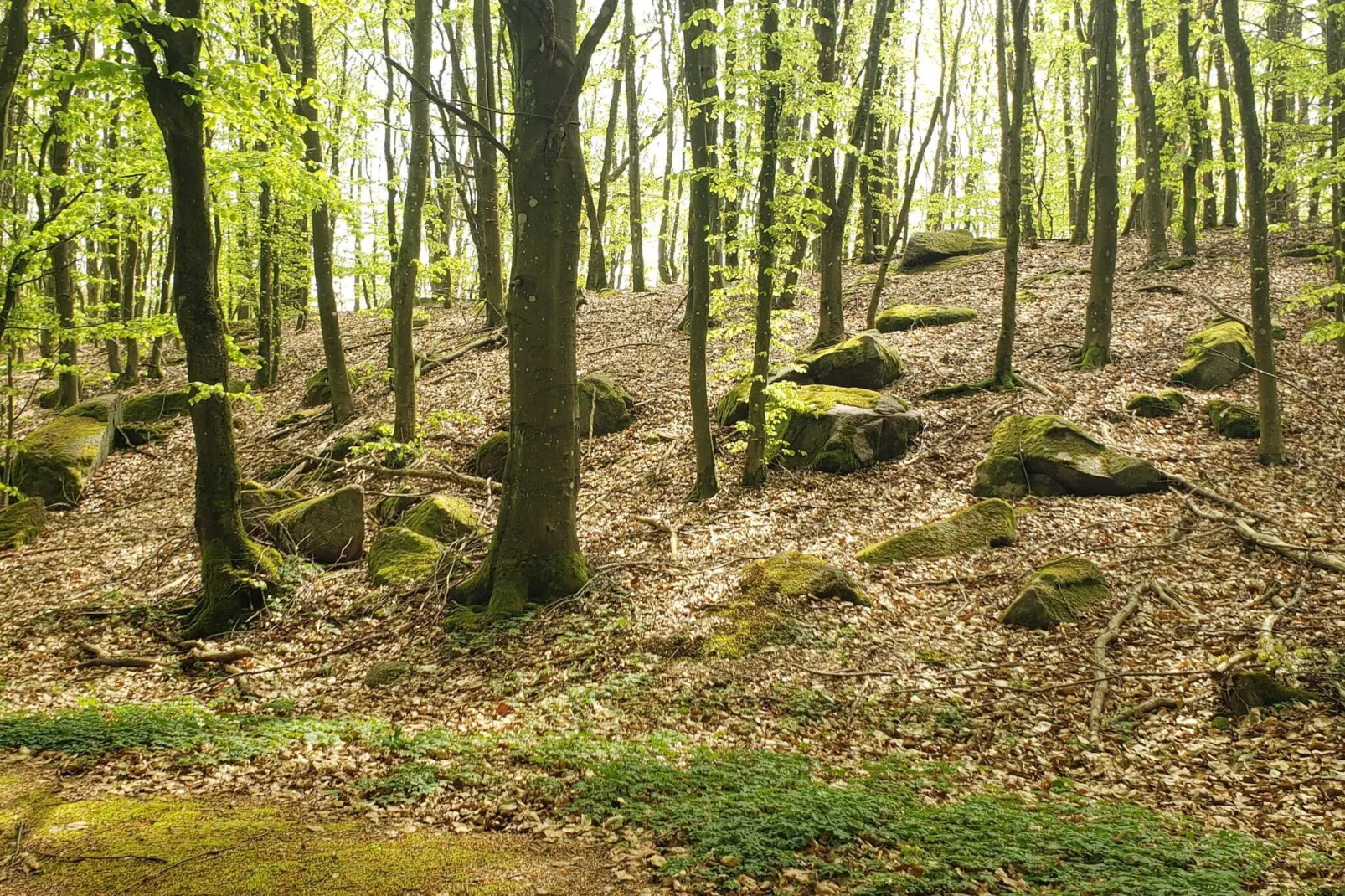 5 person holiday home in Rønne-Untagged