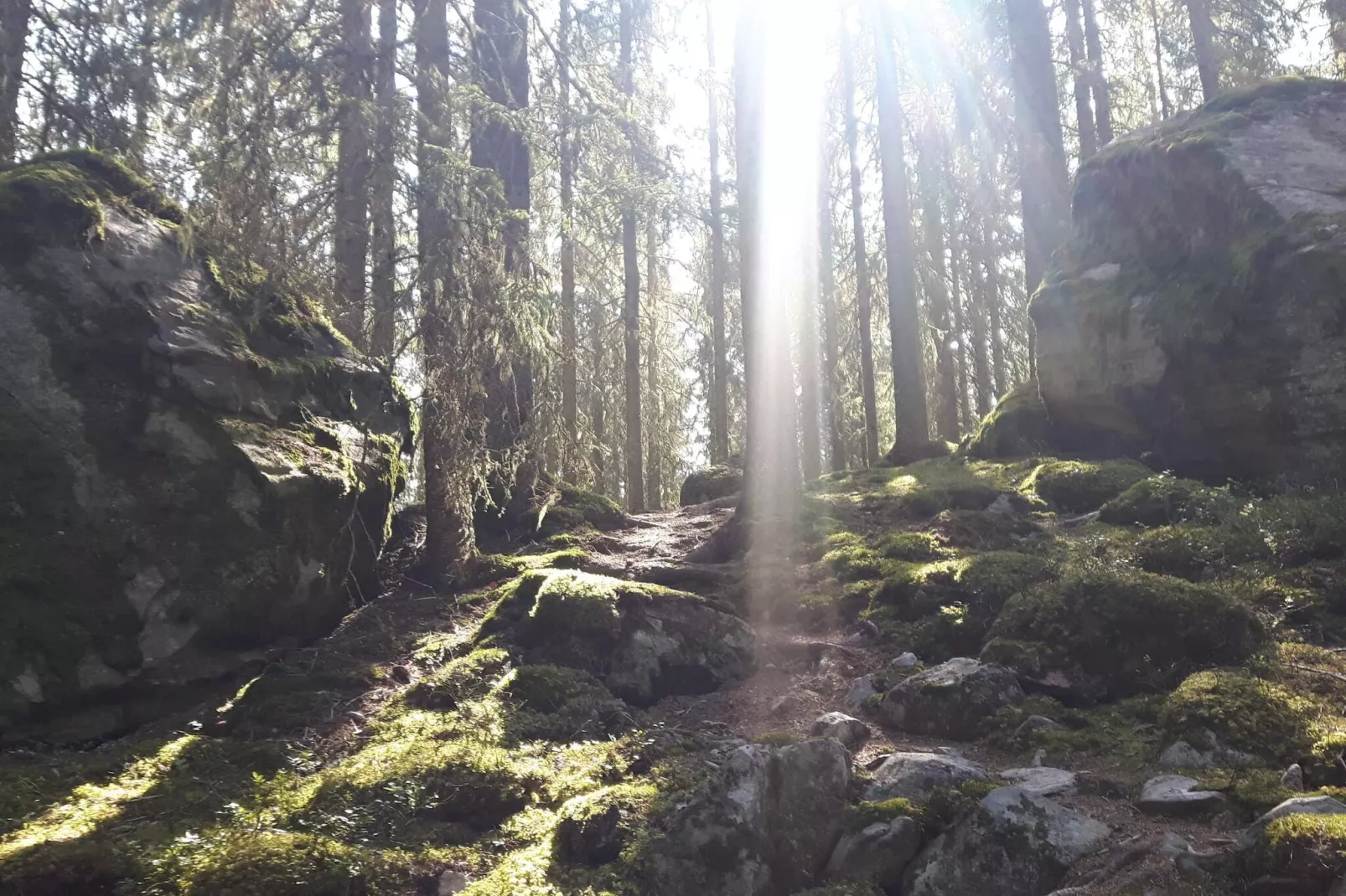 4 Sterne Ferienhaus in KIL-Nicht zugeordnet