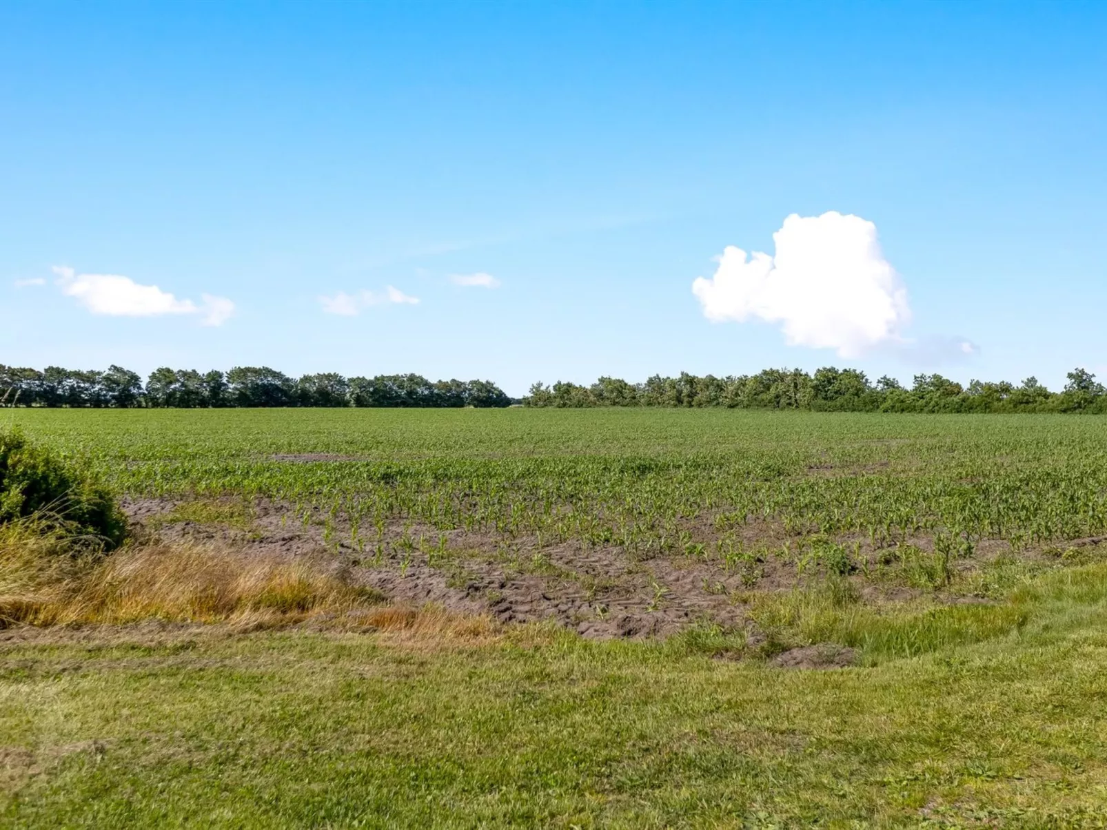"Rahild" - 10km from the sea-Draußen