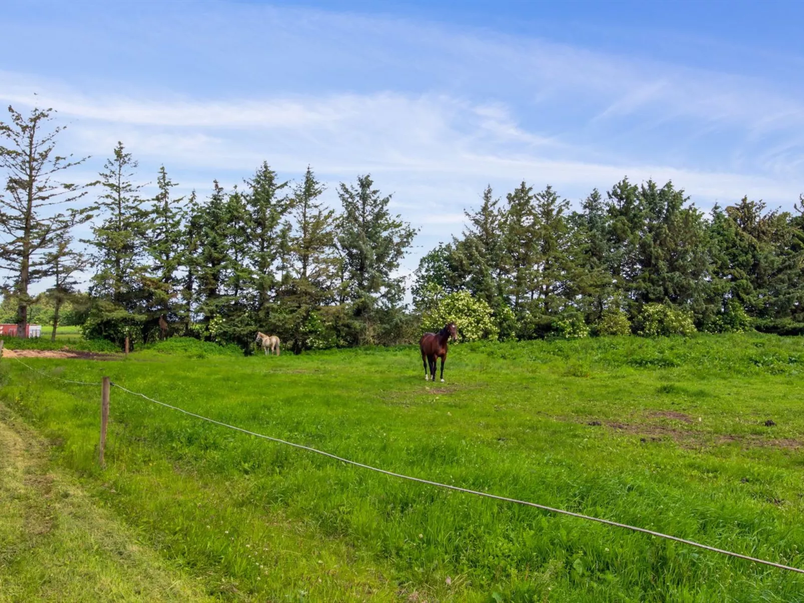 "Josefiina" - 22km from the sea-Dehors