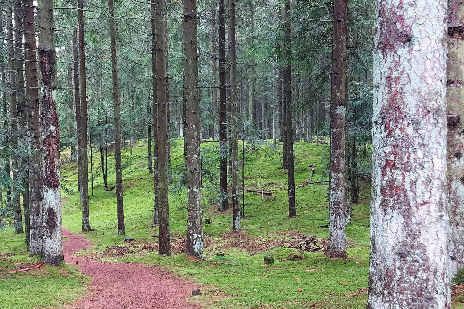 5 star holiday home in Farsø-Untagged