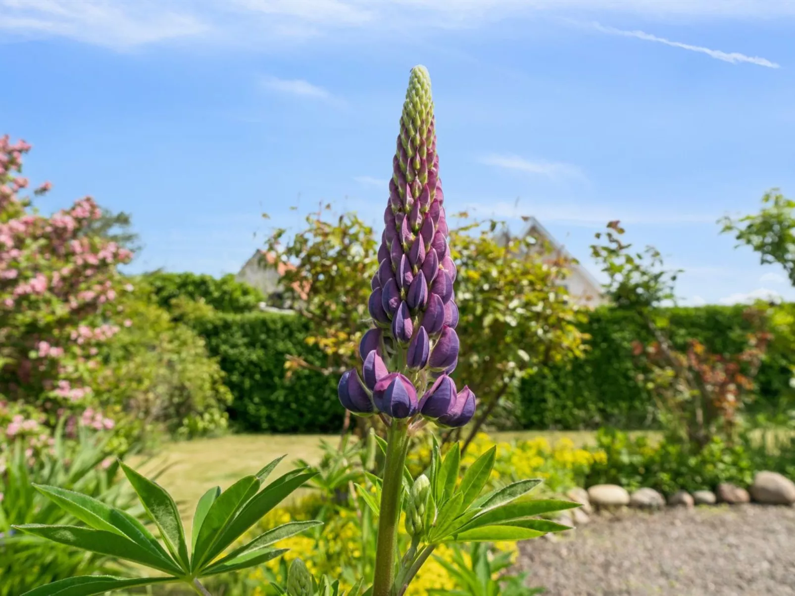 "Keld" - 350m from the sea-Outside