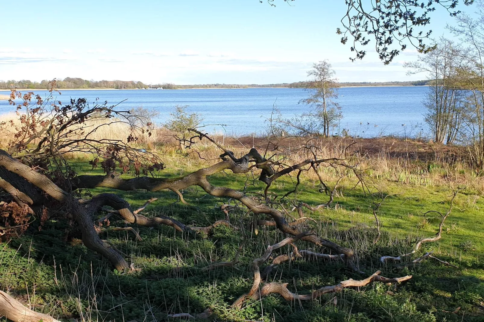 10 person holiday home in Maribo-Water view