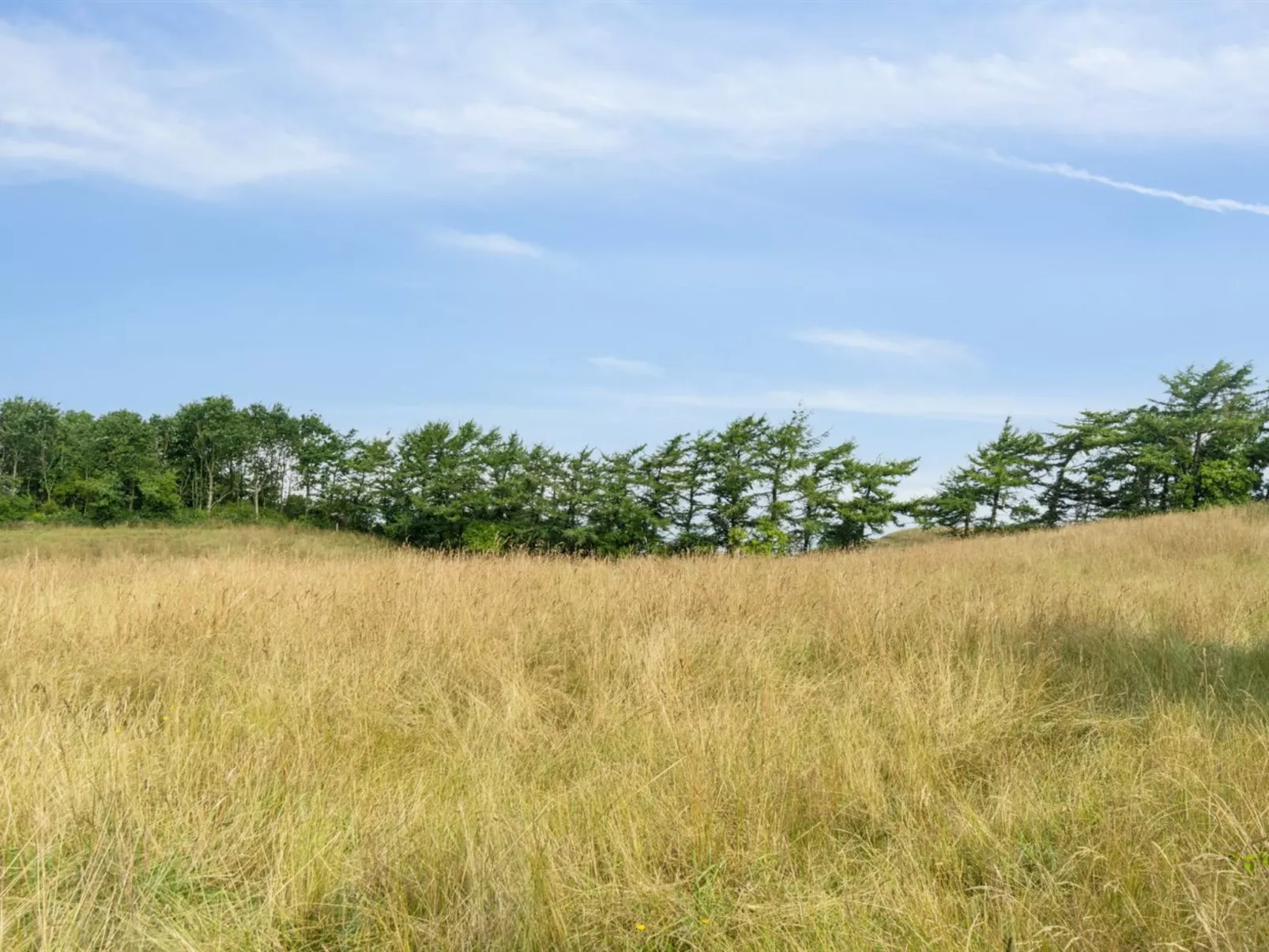 "Dorthie" - 1.7km from the sea-Dehors