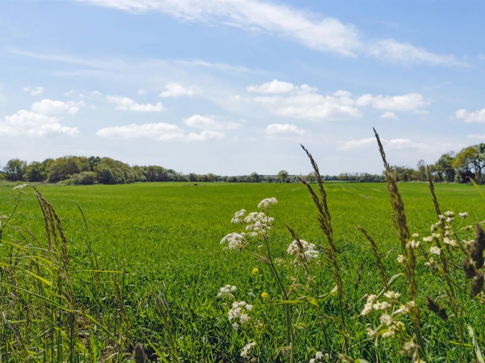 "Aarni" - 6.5km from the sea-Outside