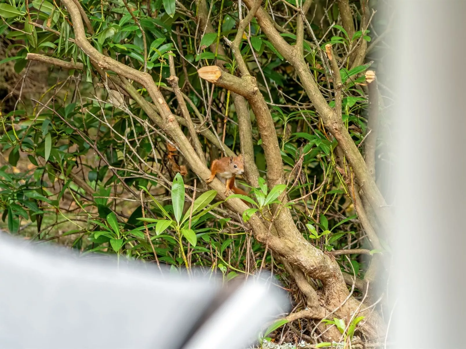 "Melisa" - 3km from the sea-Outside