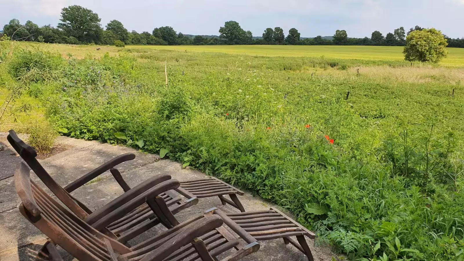 Glamour-Camping-Terrasse/Balkon