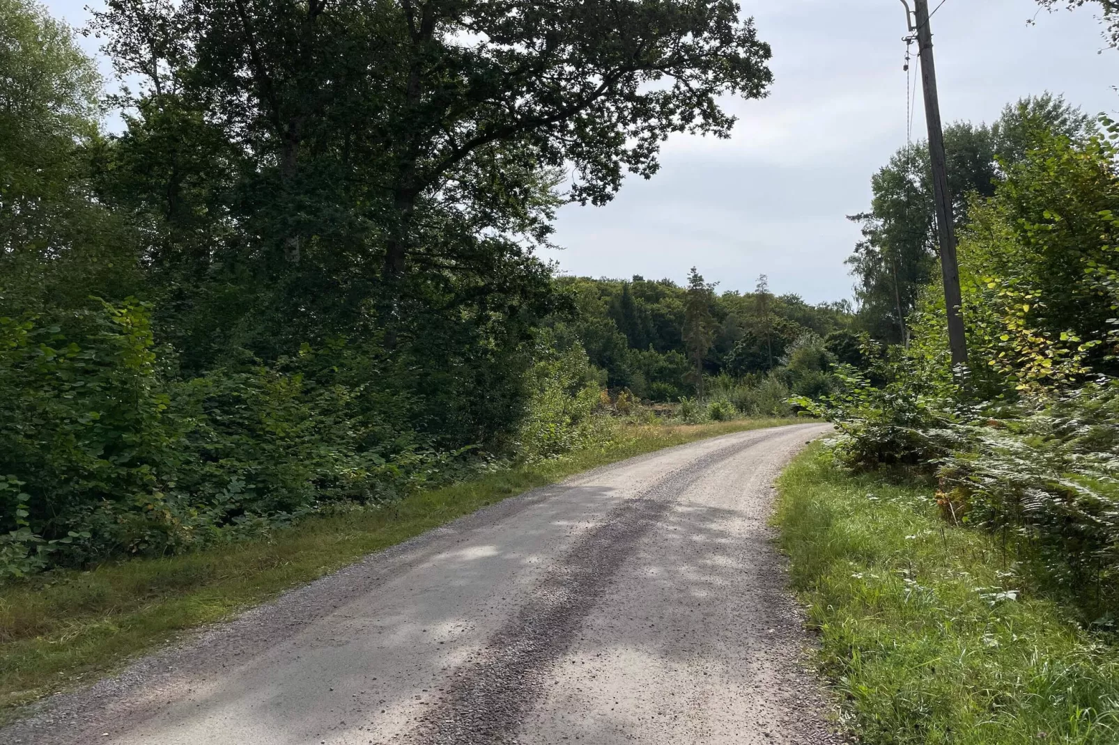 5 person holiday home in Immeln-Outdoor