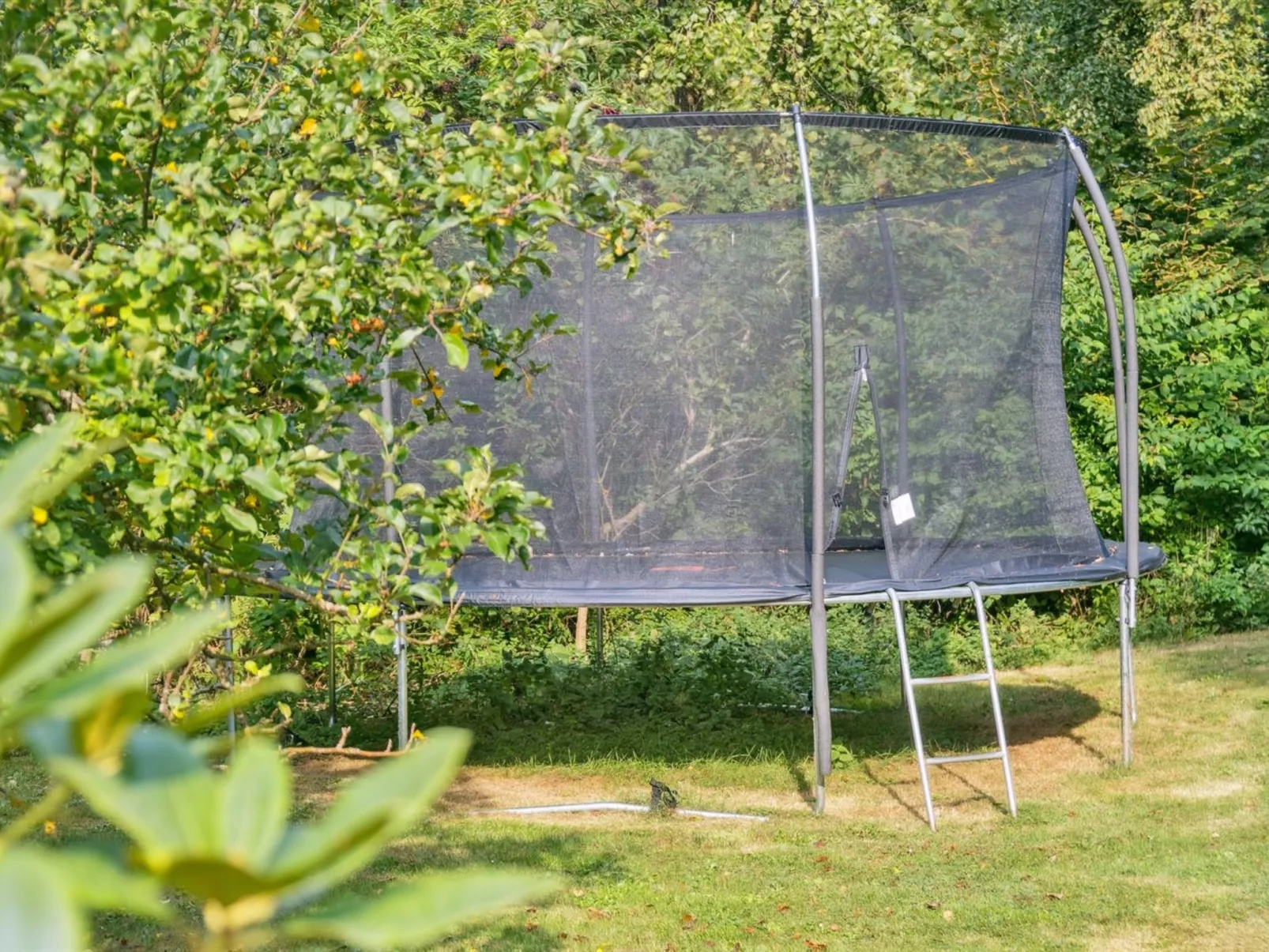 "Eilke" - 125m from the sea