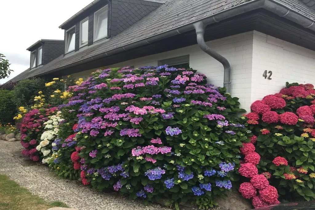 283745-Nicht zugeordnet